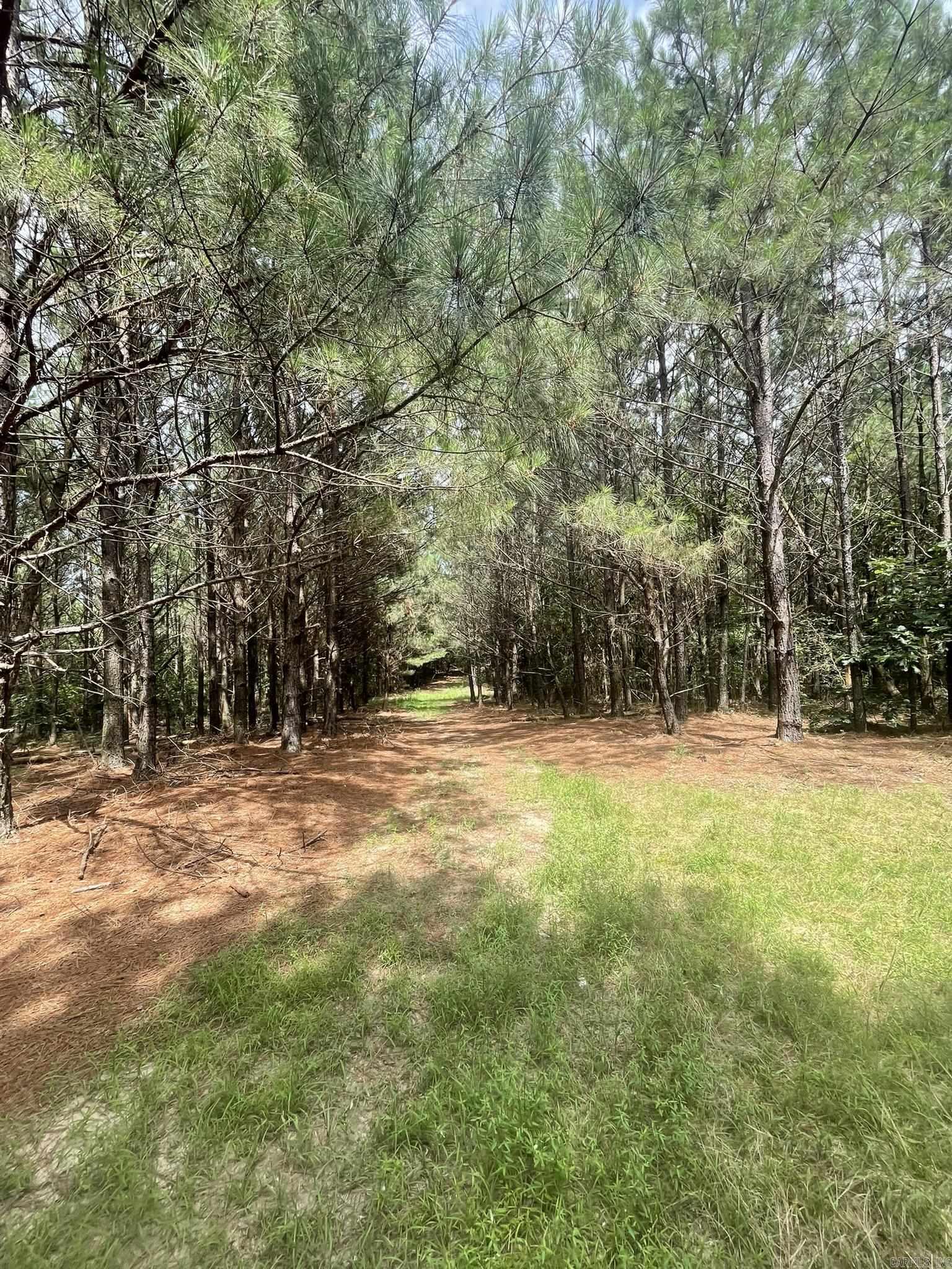 811 Polk Road 21  Cove, AR