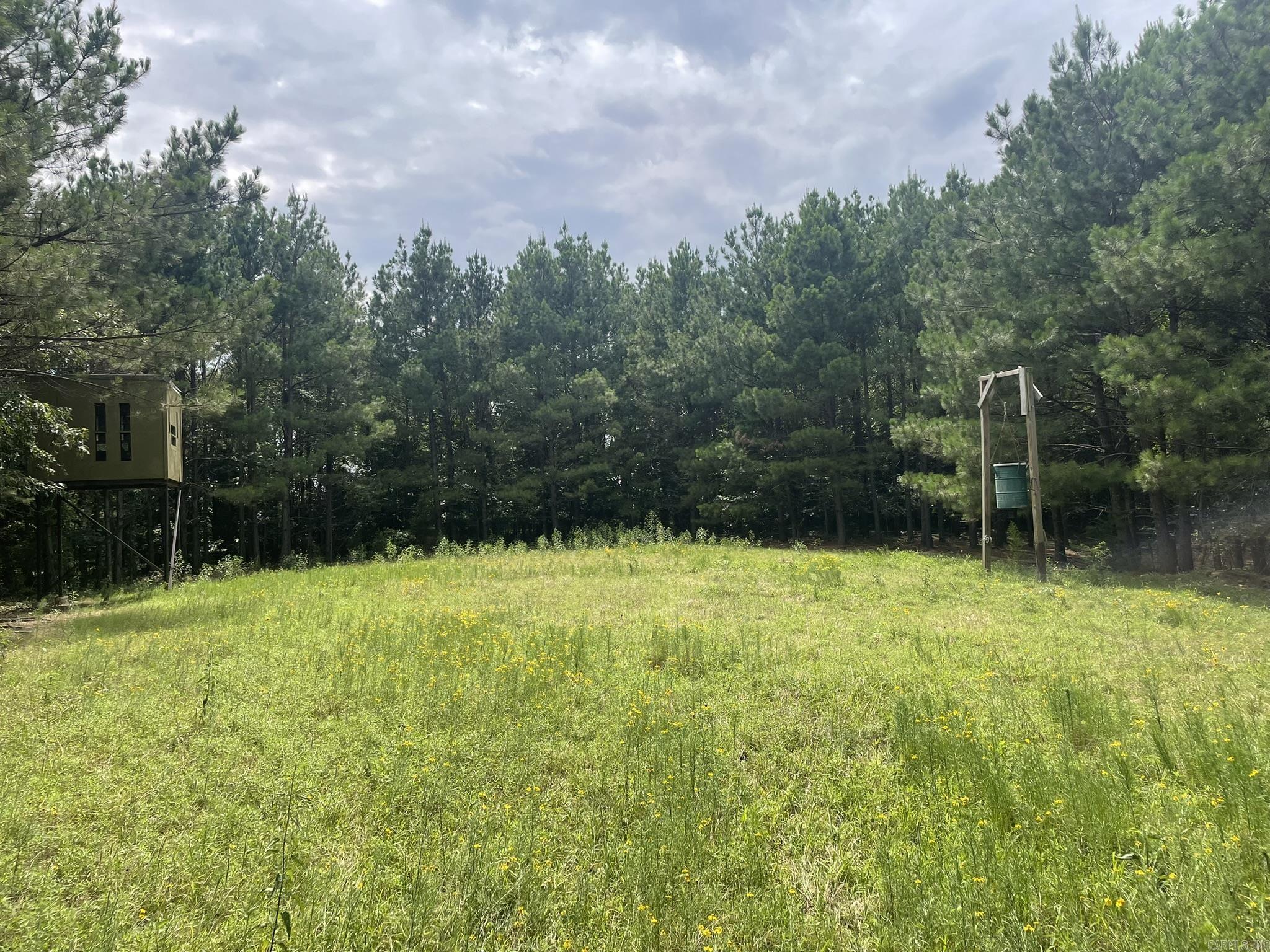 811 Polk Road 21  Cove, AR