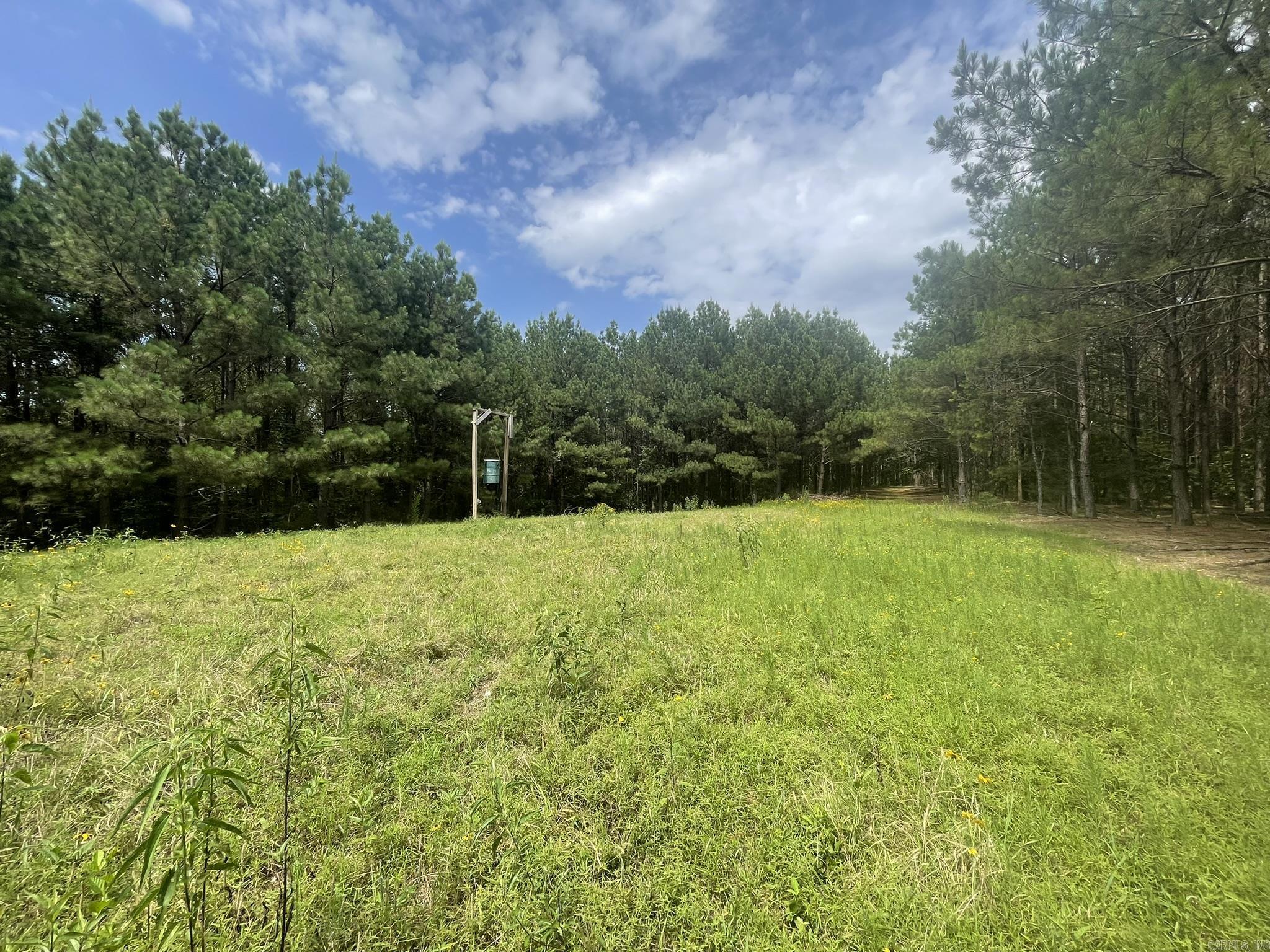 811 Polk Road 21  Cove, AR