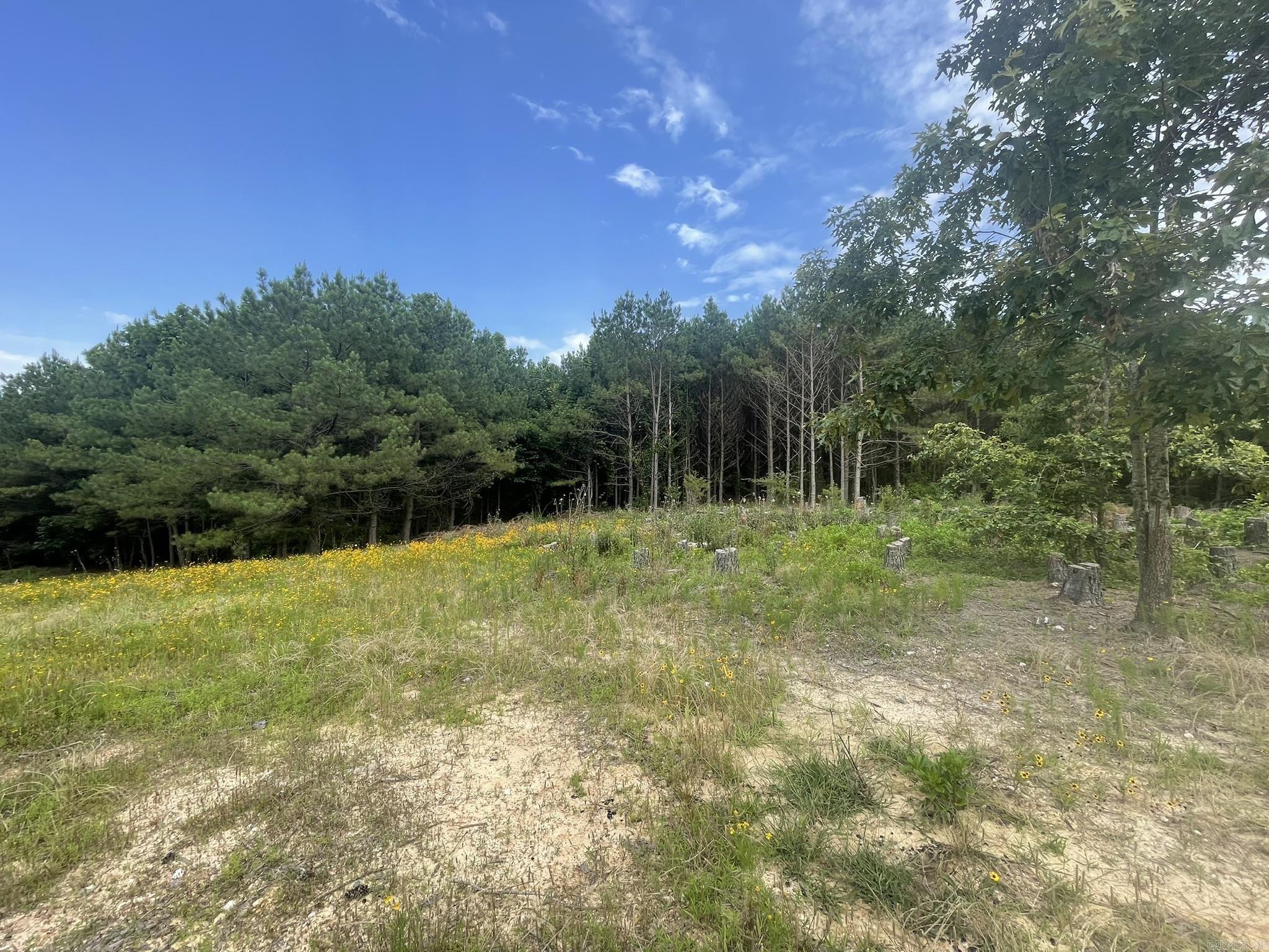 811 Polk Road 21  Cove, AR