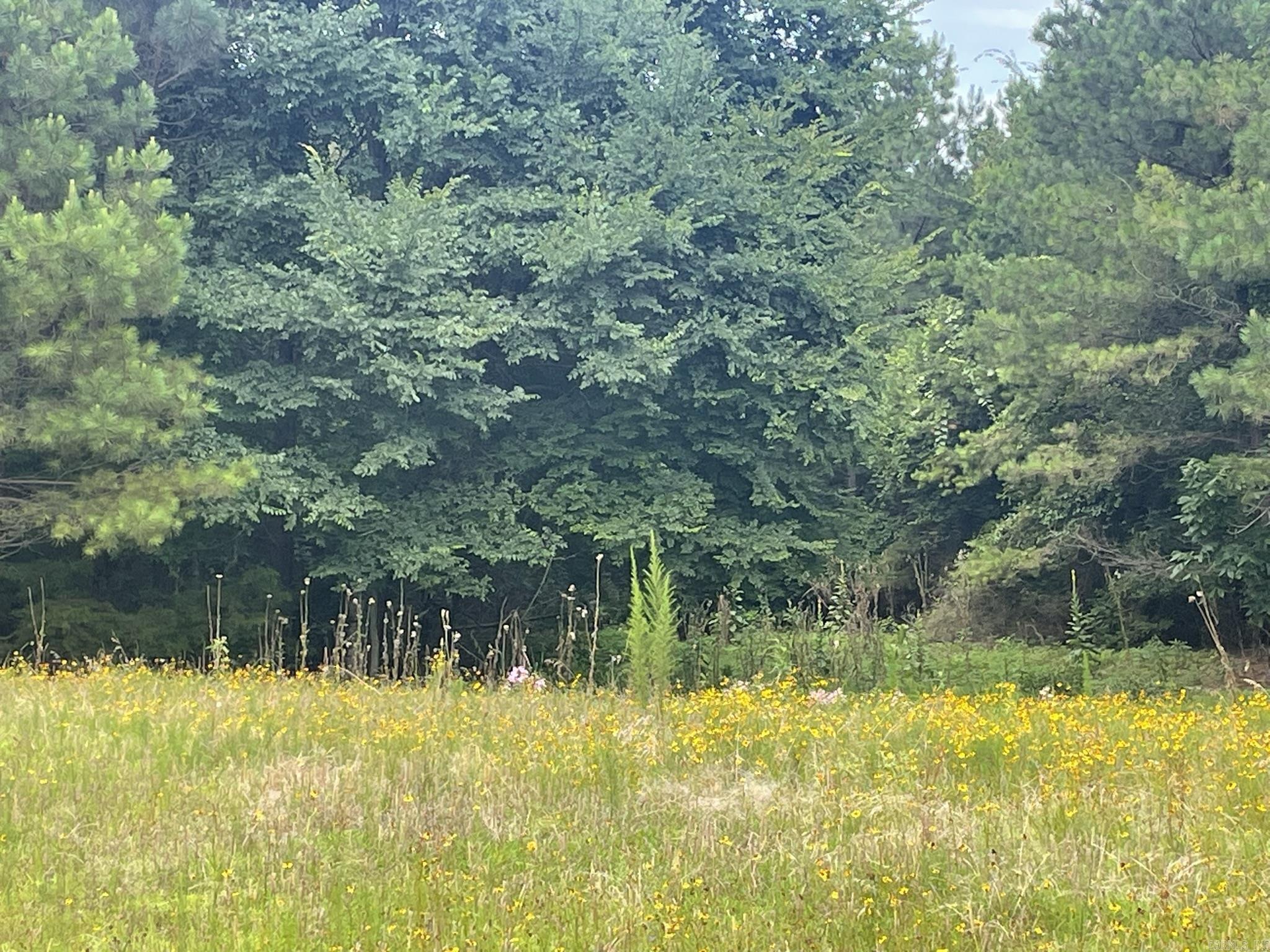 811 Polk Road 21  Cove, AR