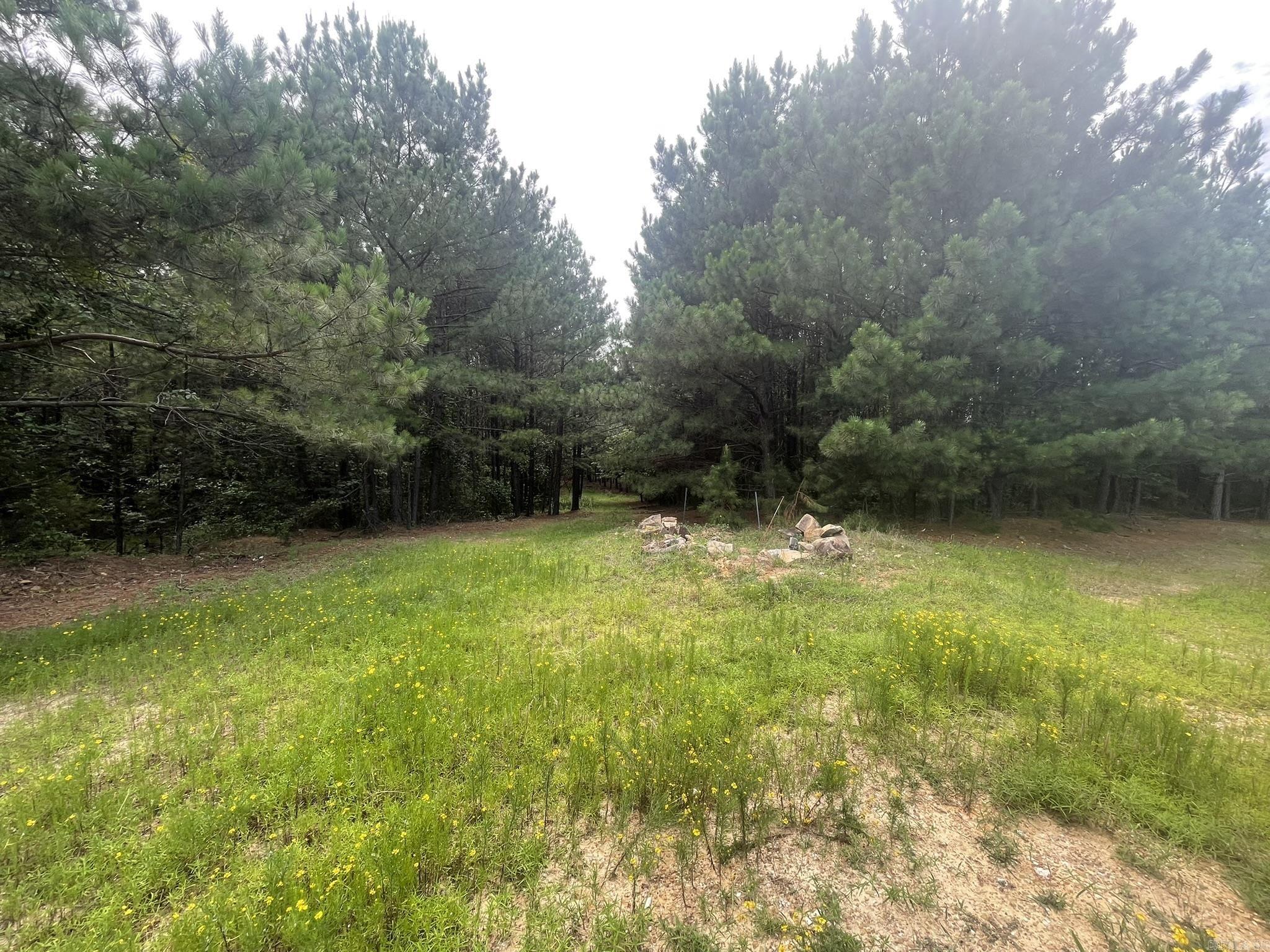 811 Polk Road 21  Cove, AR