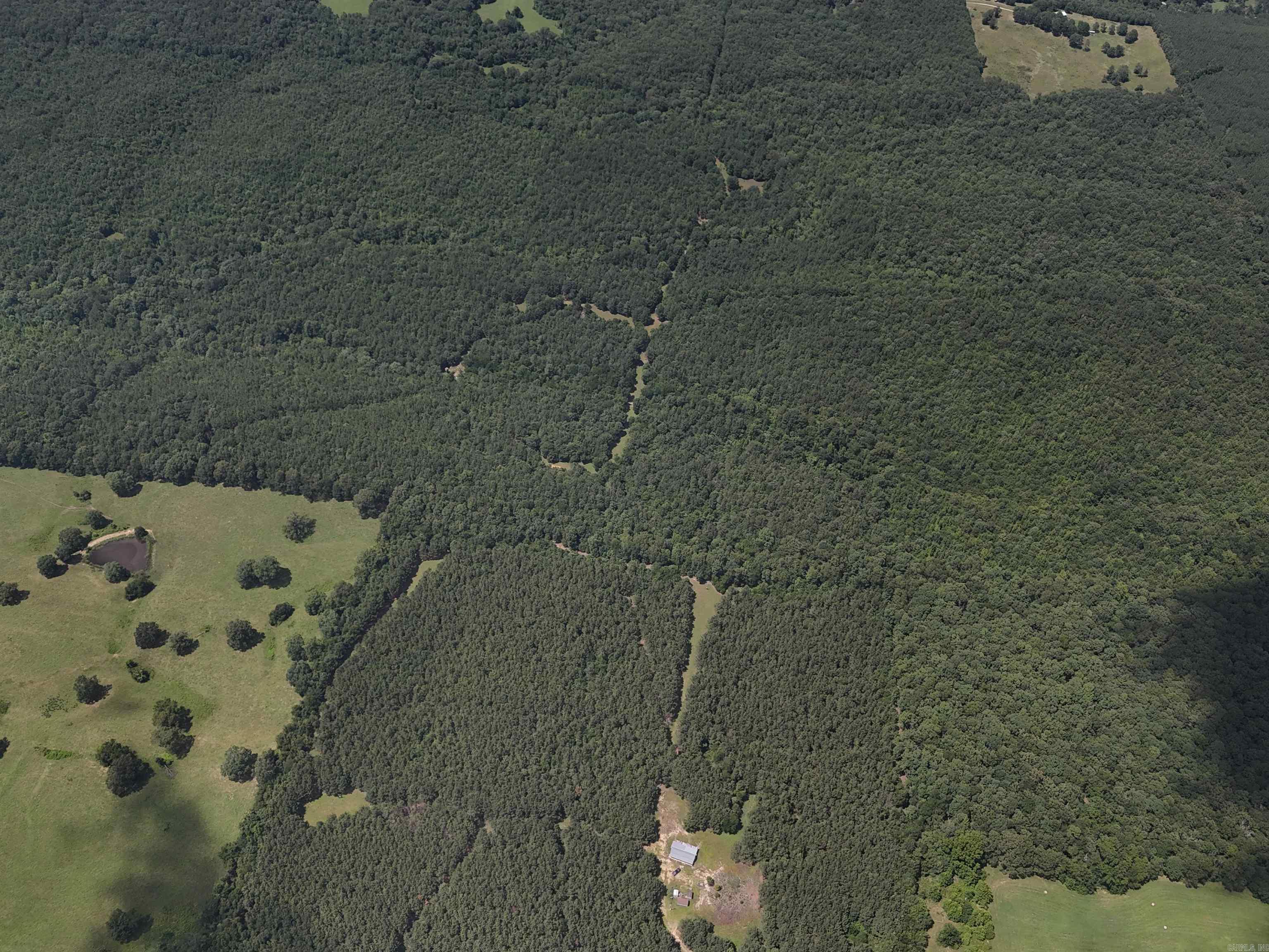 811 Polk Road 21  Cove, AR