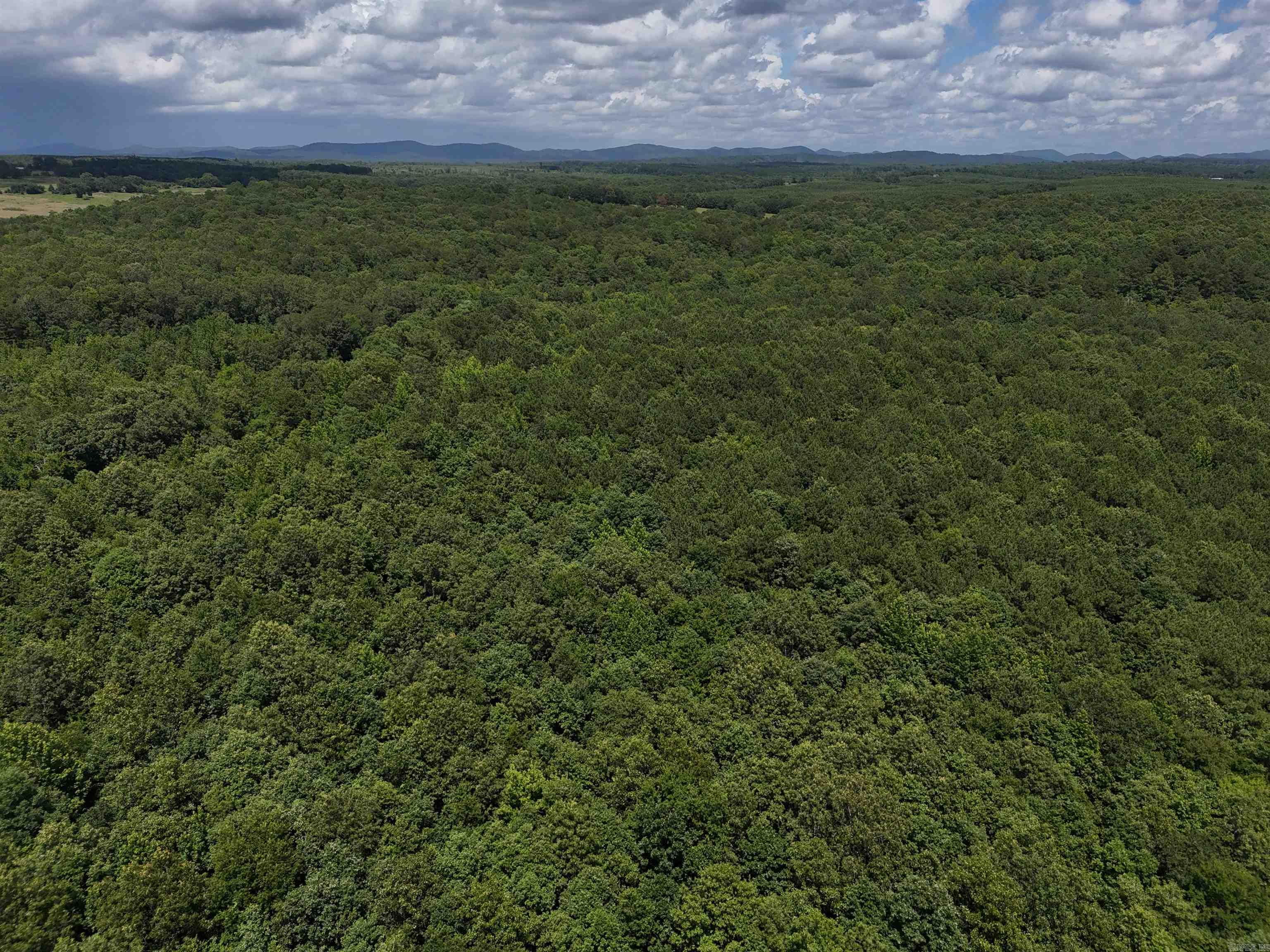 811 Polk Road 21  Cove, AR