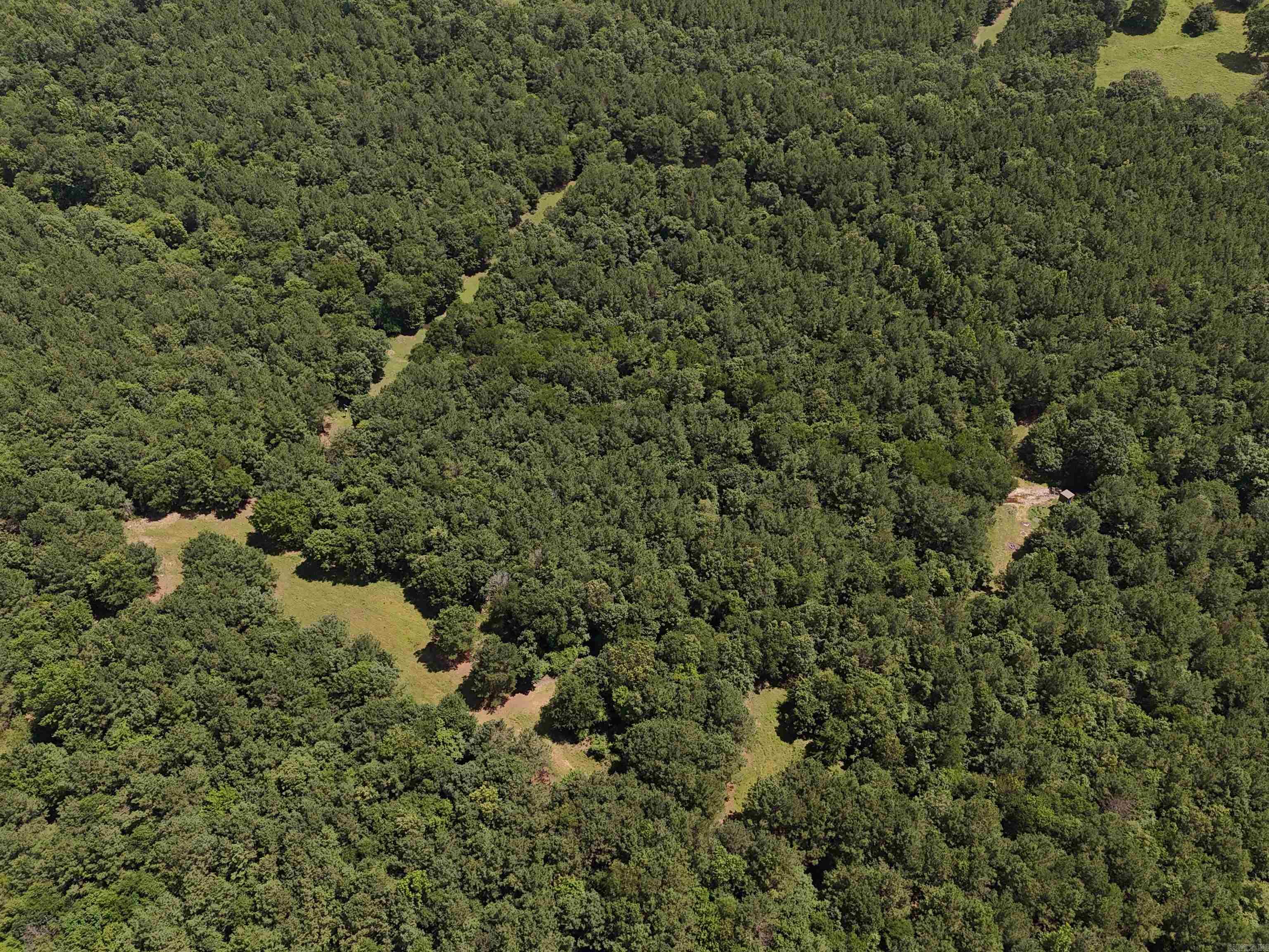 811 Polk Road 21  Cove, AR