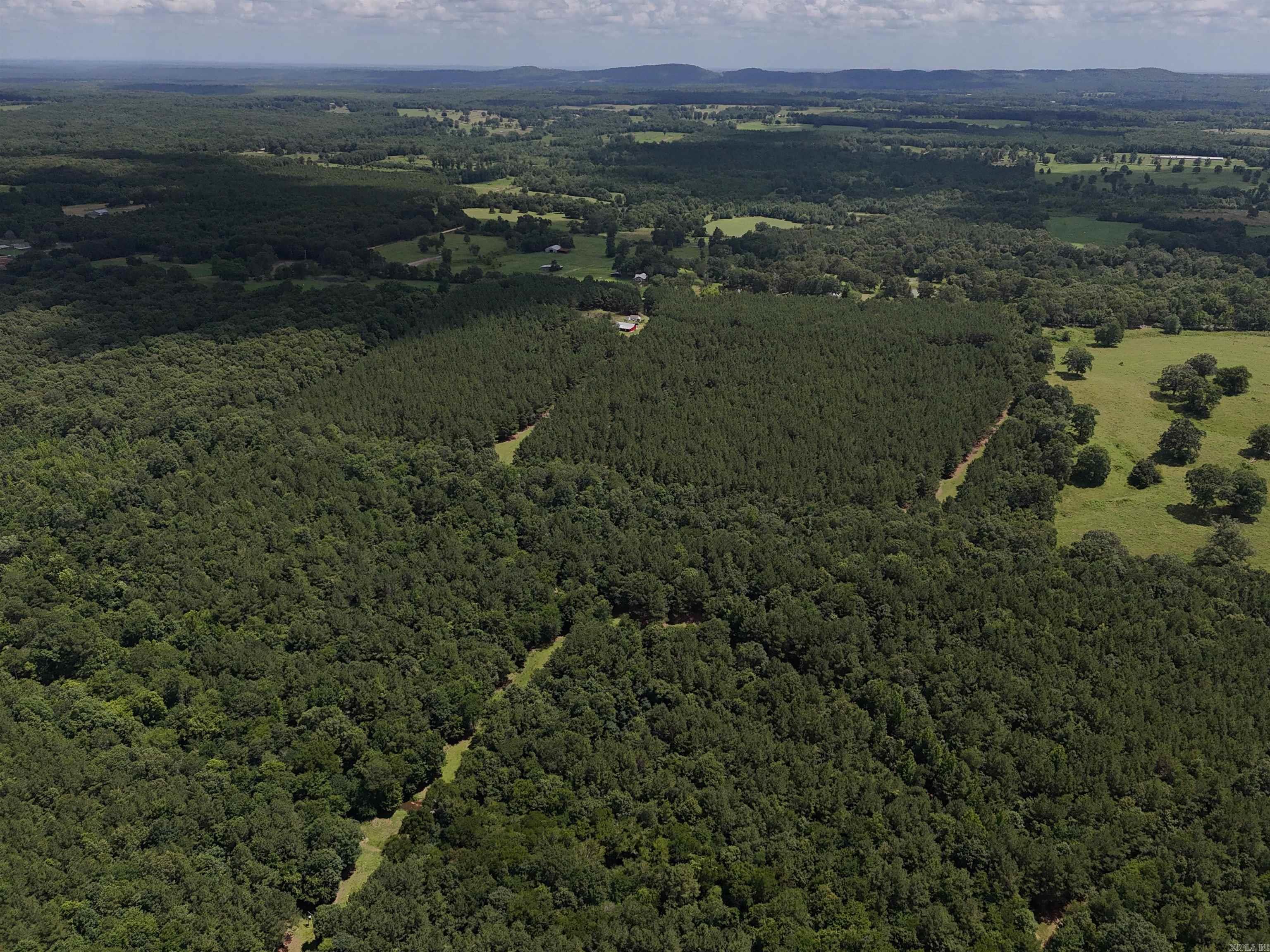 811 Polk Road 21  Cove, AR