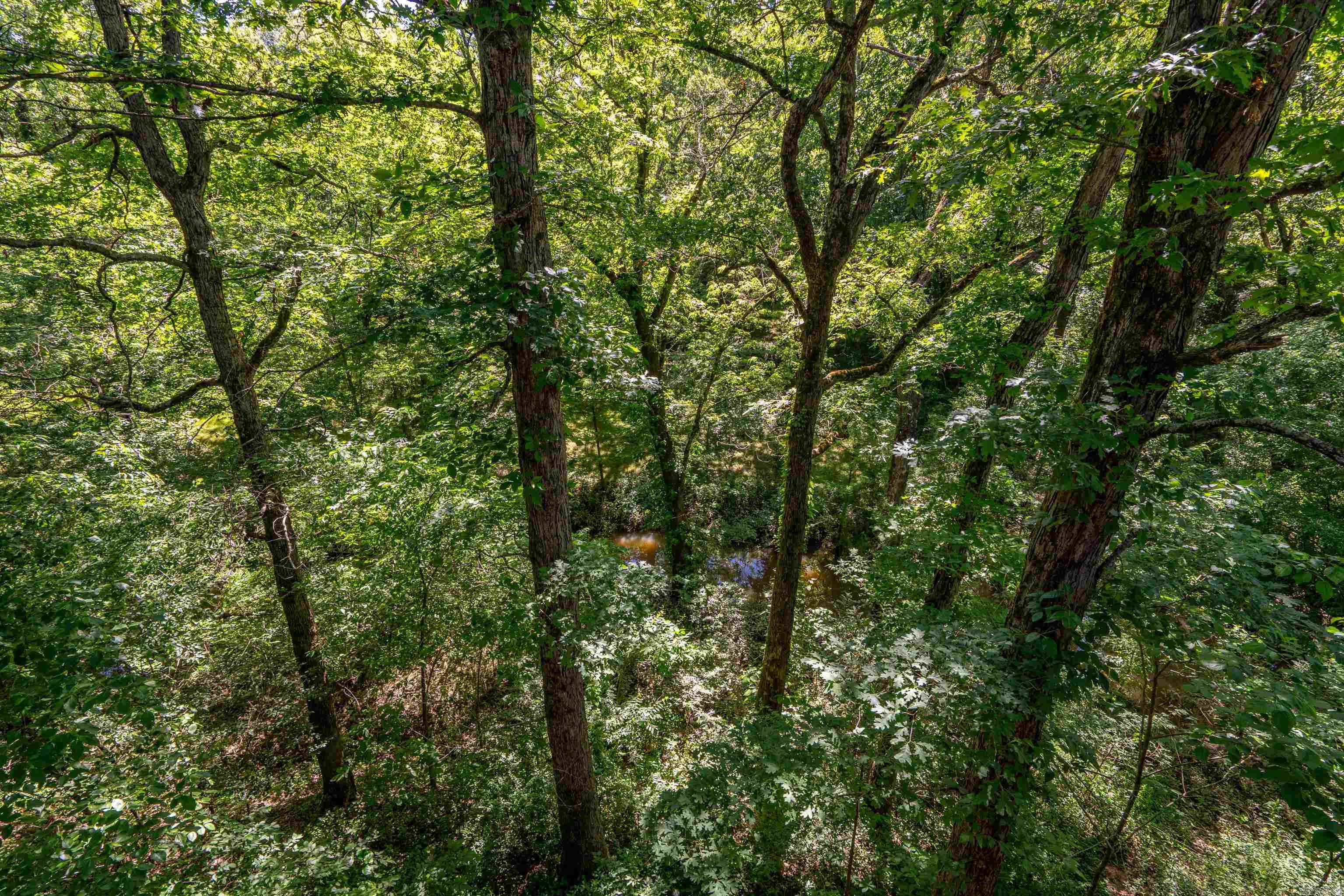 000 Ouachita River Haven  Pencil Bluff, AR