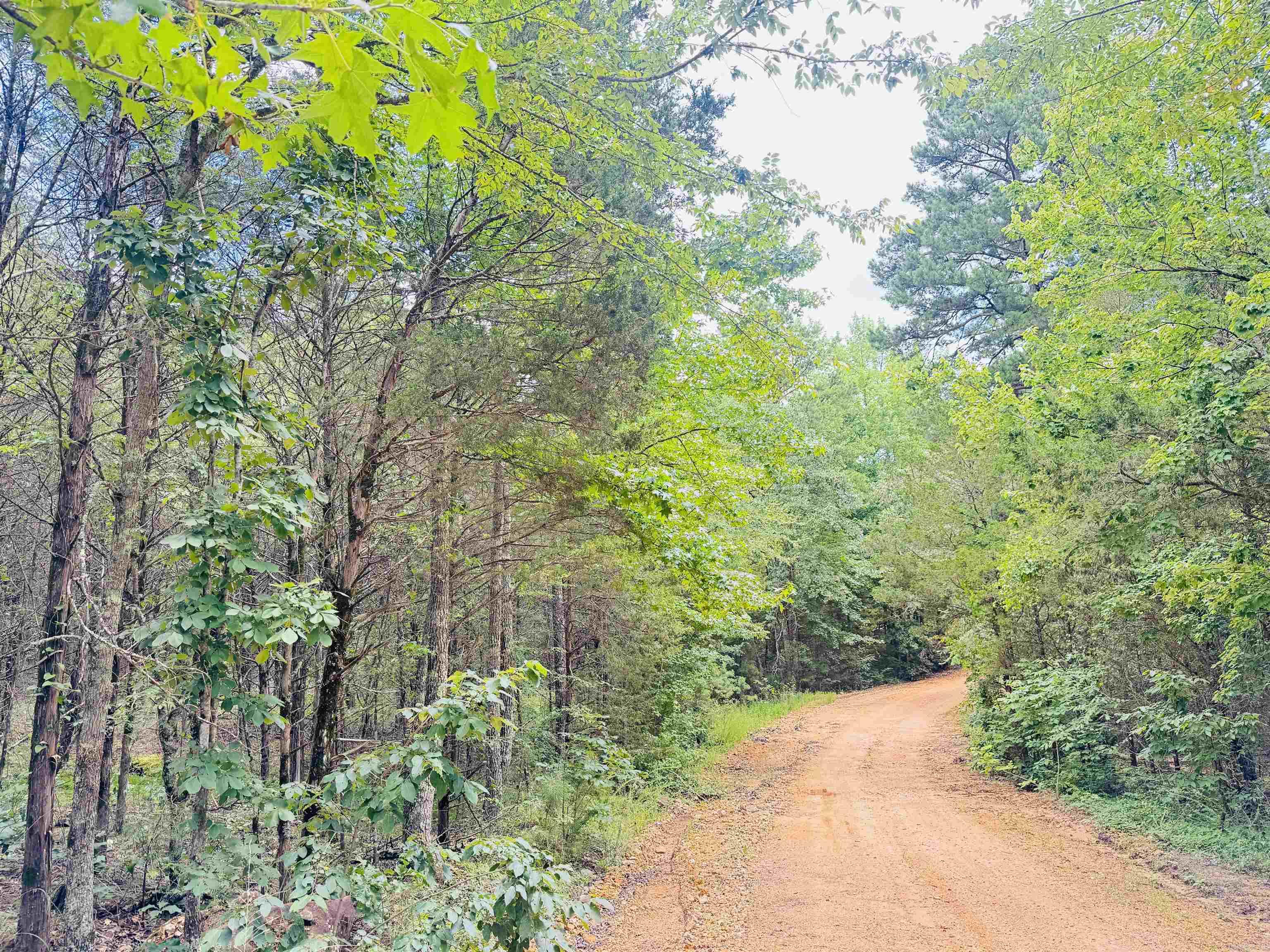  Fisher Road  Melbourne, AR