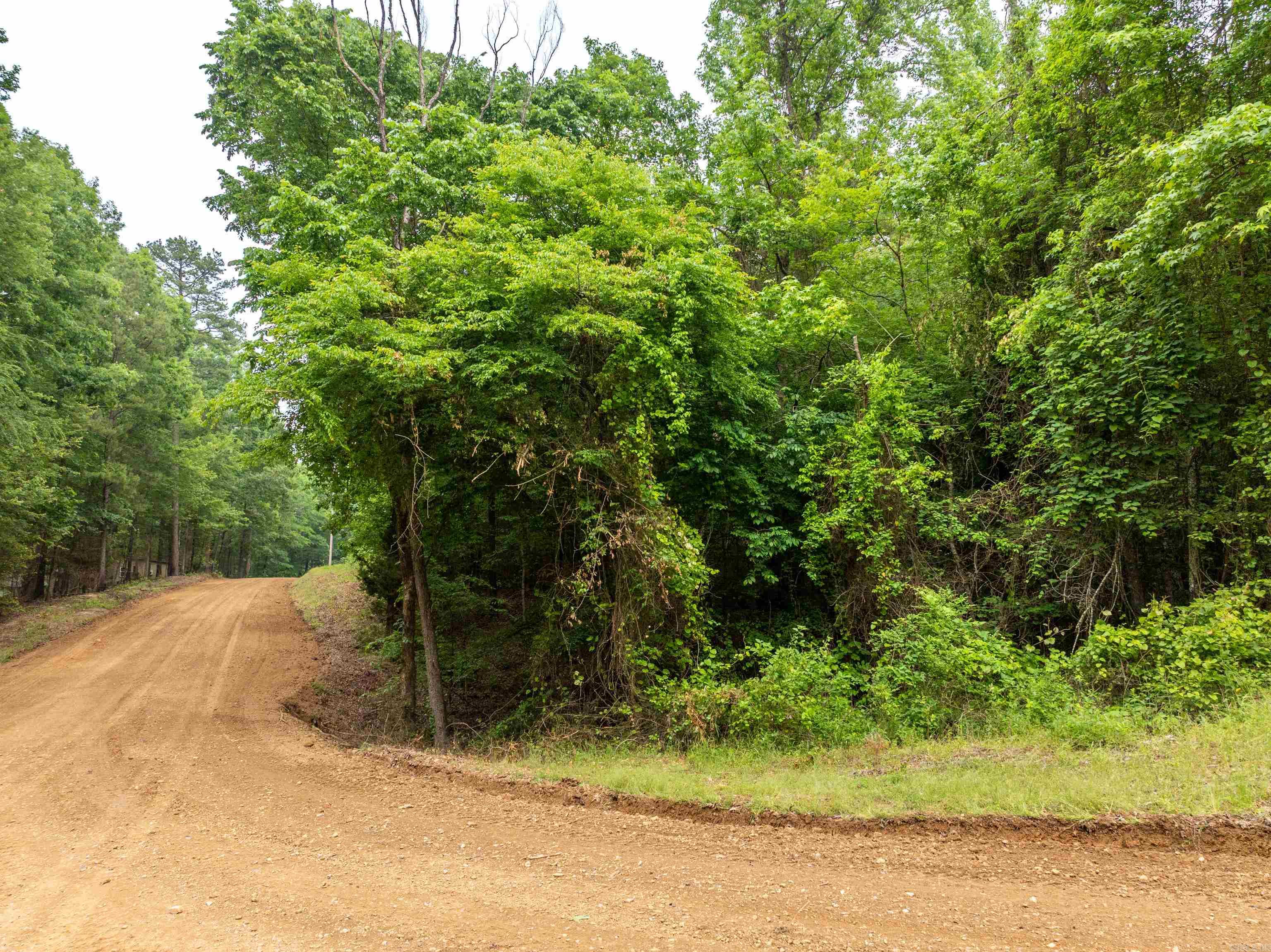 00000 Cross Creek Rd  Mount Ida, AR