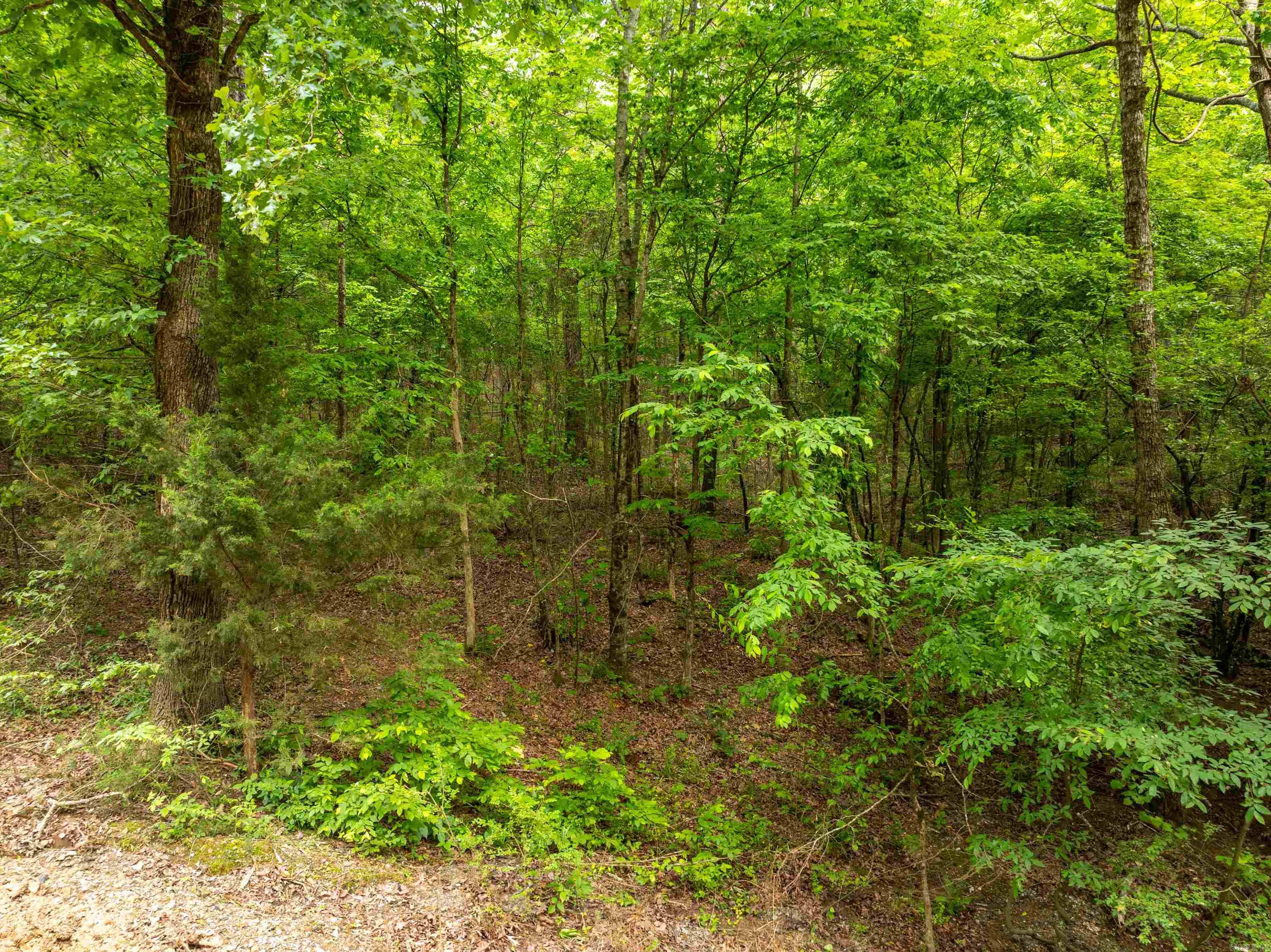 00000 Cross Creek Rd  Mount Ida, AR