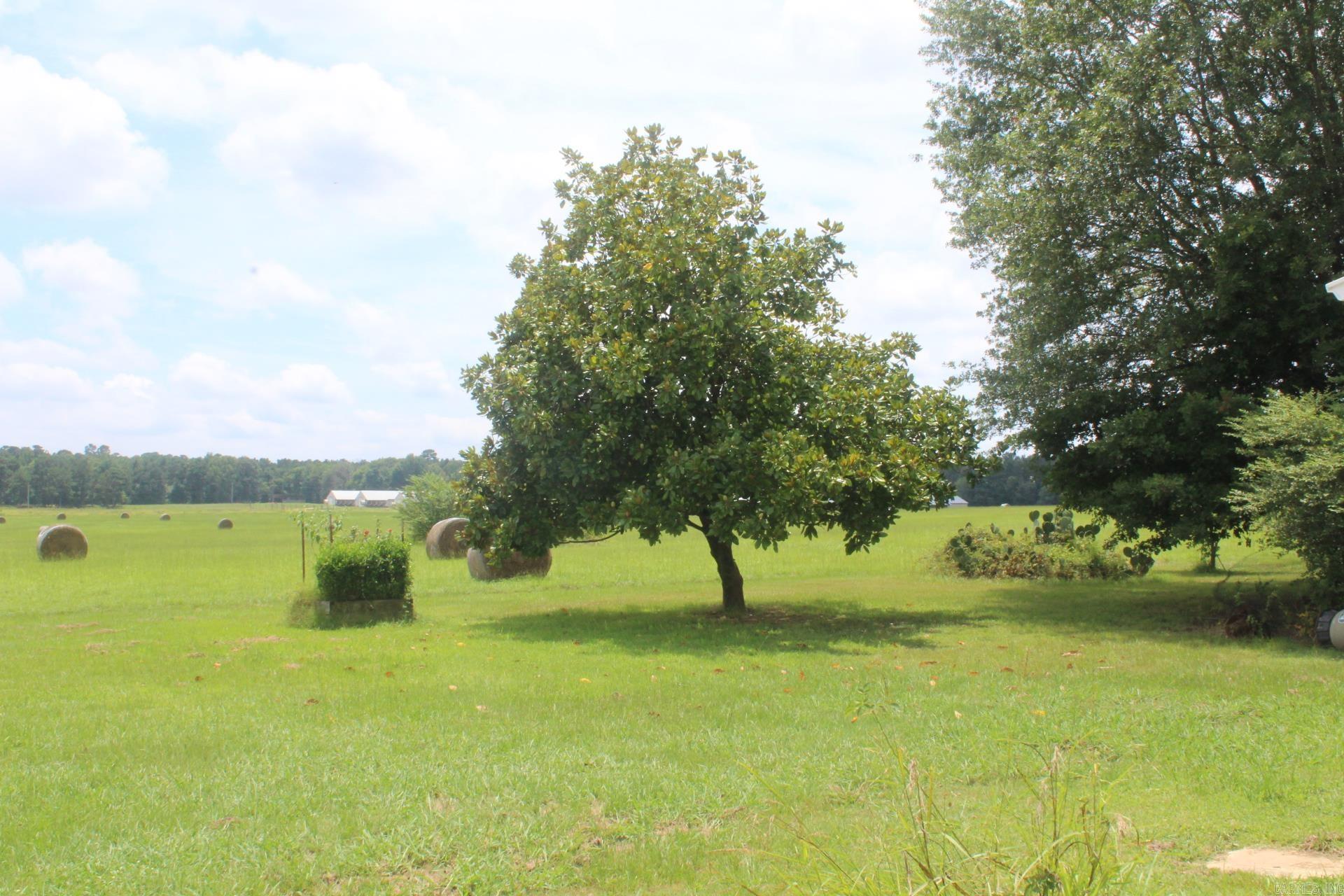 6161 Hwy. 371  Blevins, AR