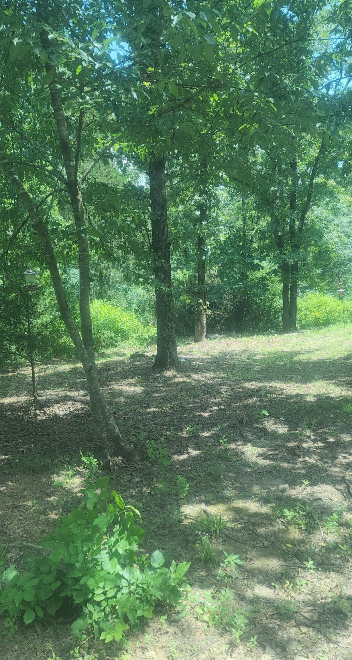 390 cody drive  Clinton, AR