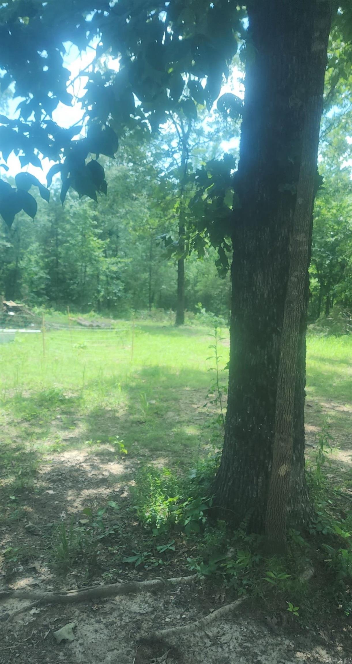 390 cody drive  Clinton, AR