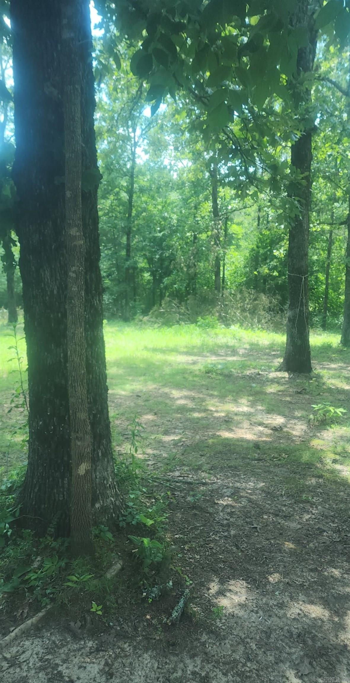 390 cody drive  Clinton, AR