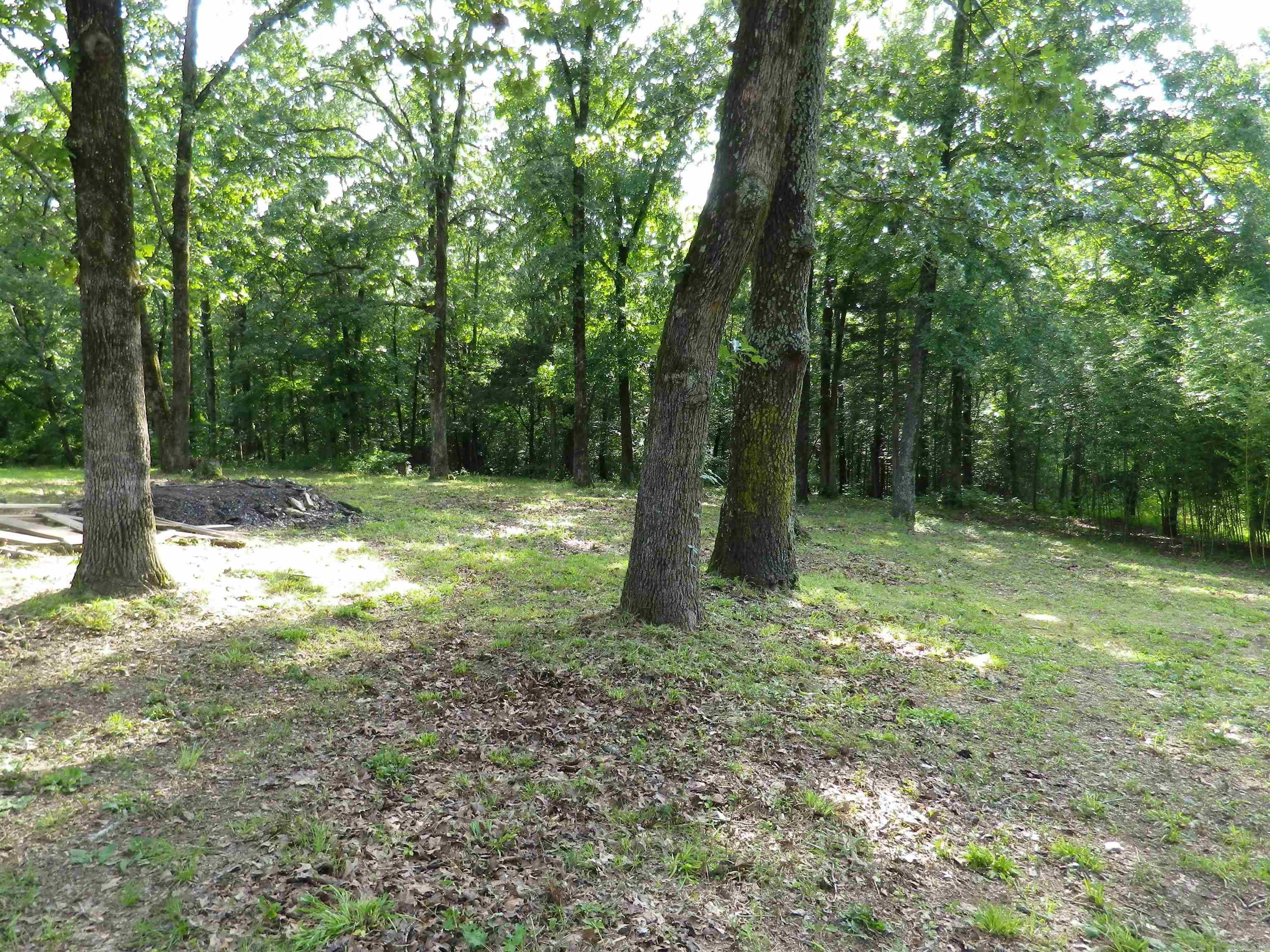 1 ROBIN COVE Greenbrier, AR 72058