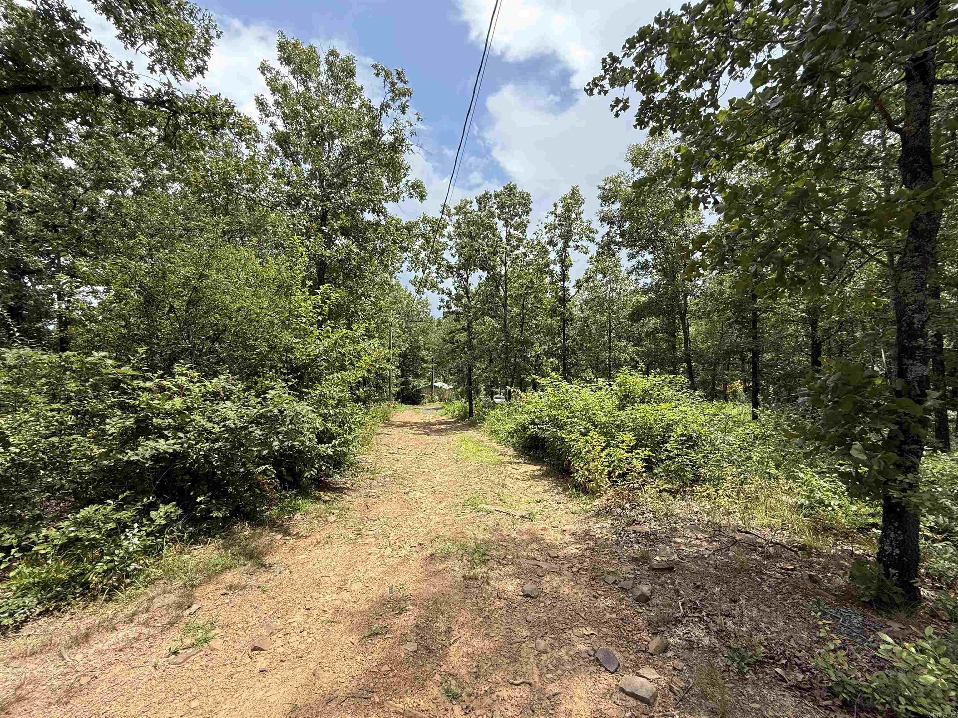 1 Arnies  Cabot, AR