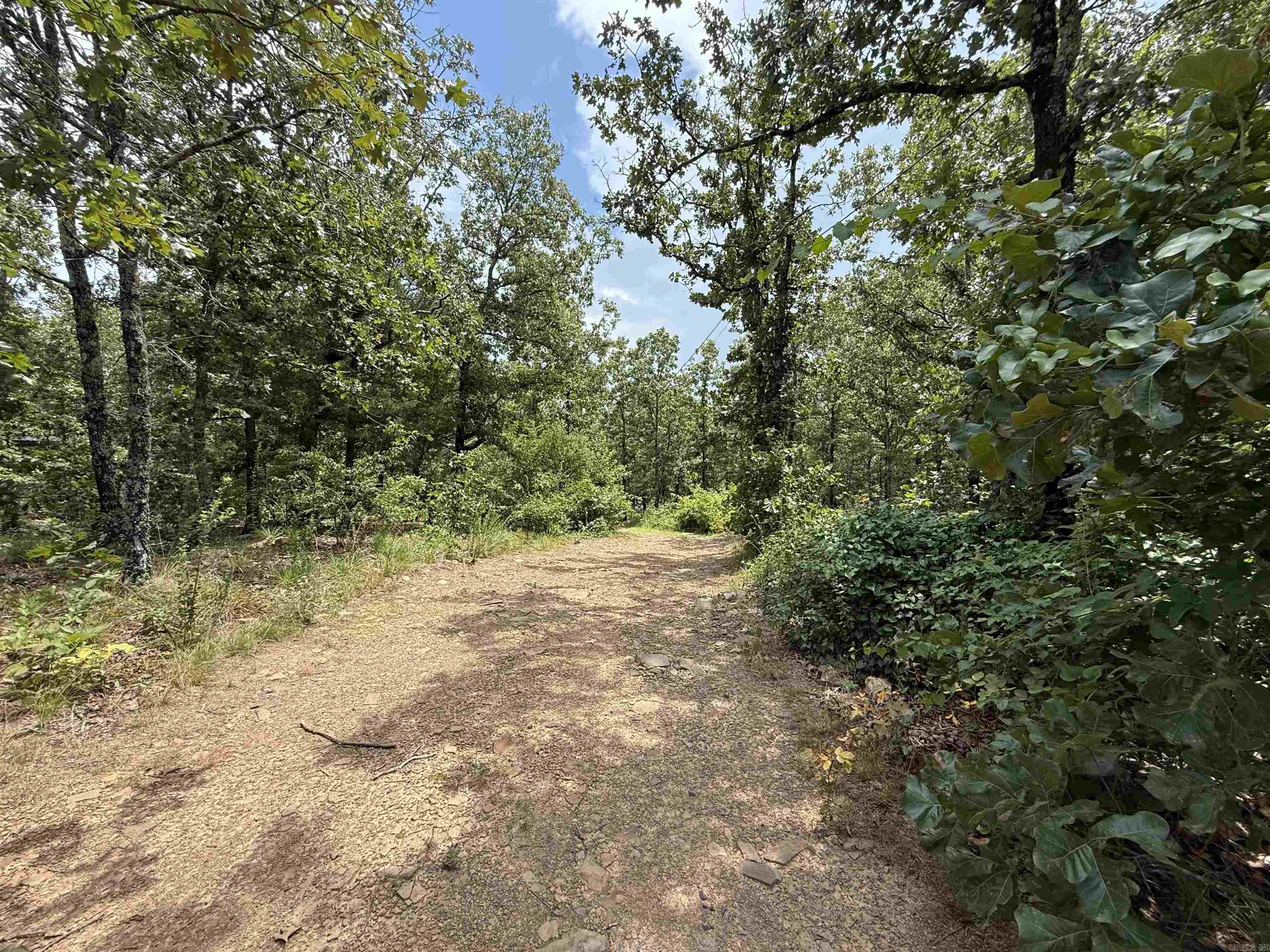 1 Arnies  Cabot, AR