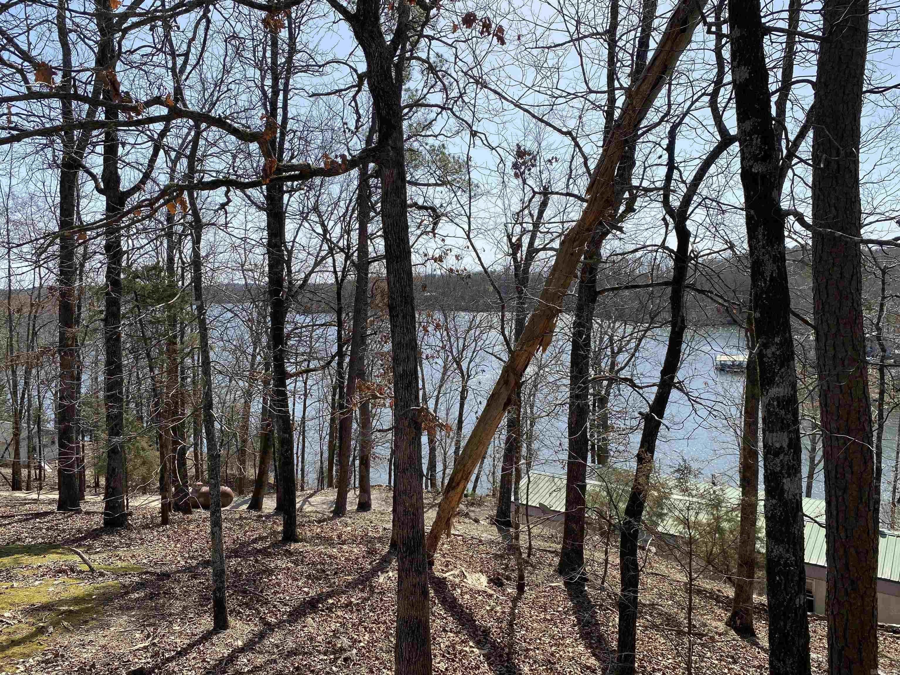 17300 Cabes Point  Alexander, AR