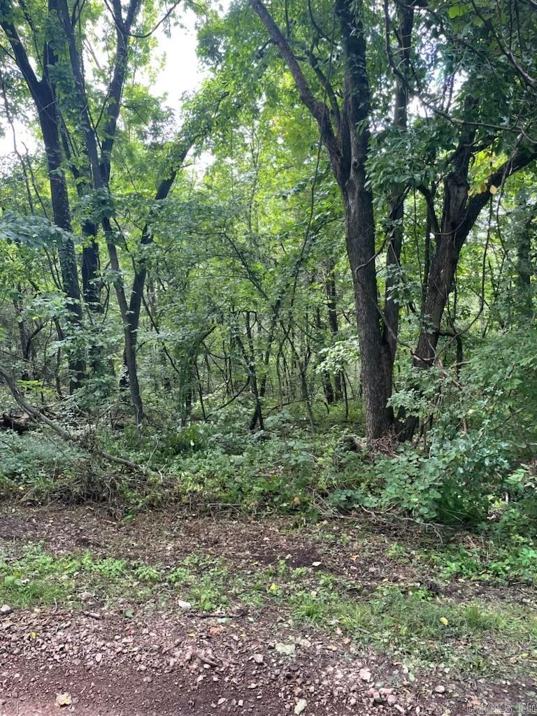 366 Hillhollow  Marshall, AR