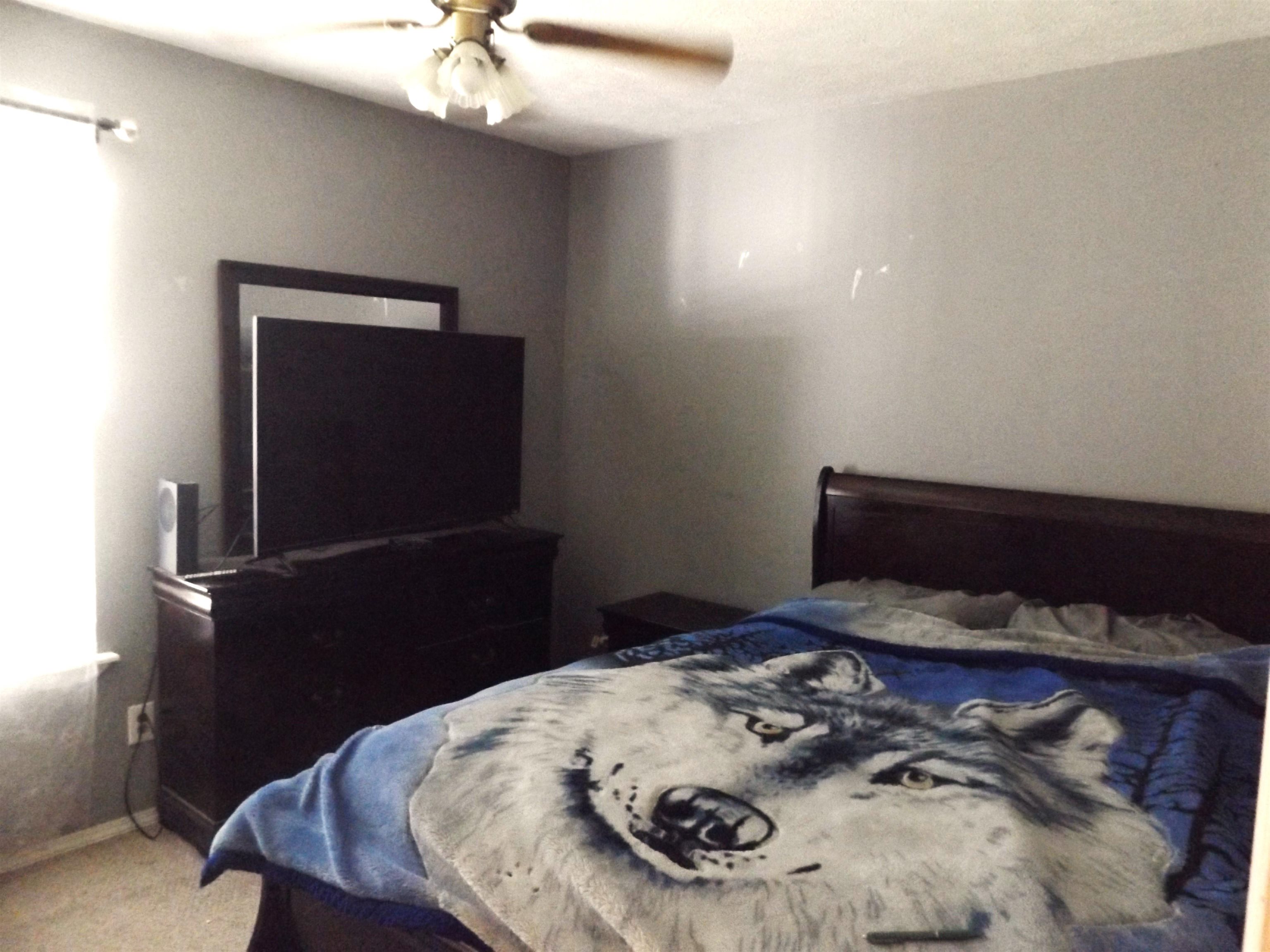 35 Wunderland Way Lakeview, AR 72642