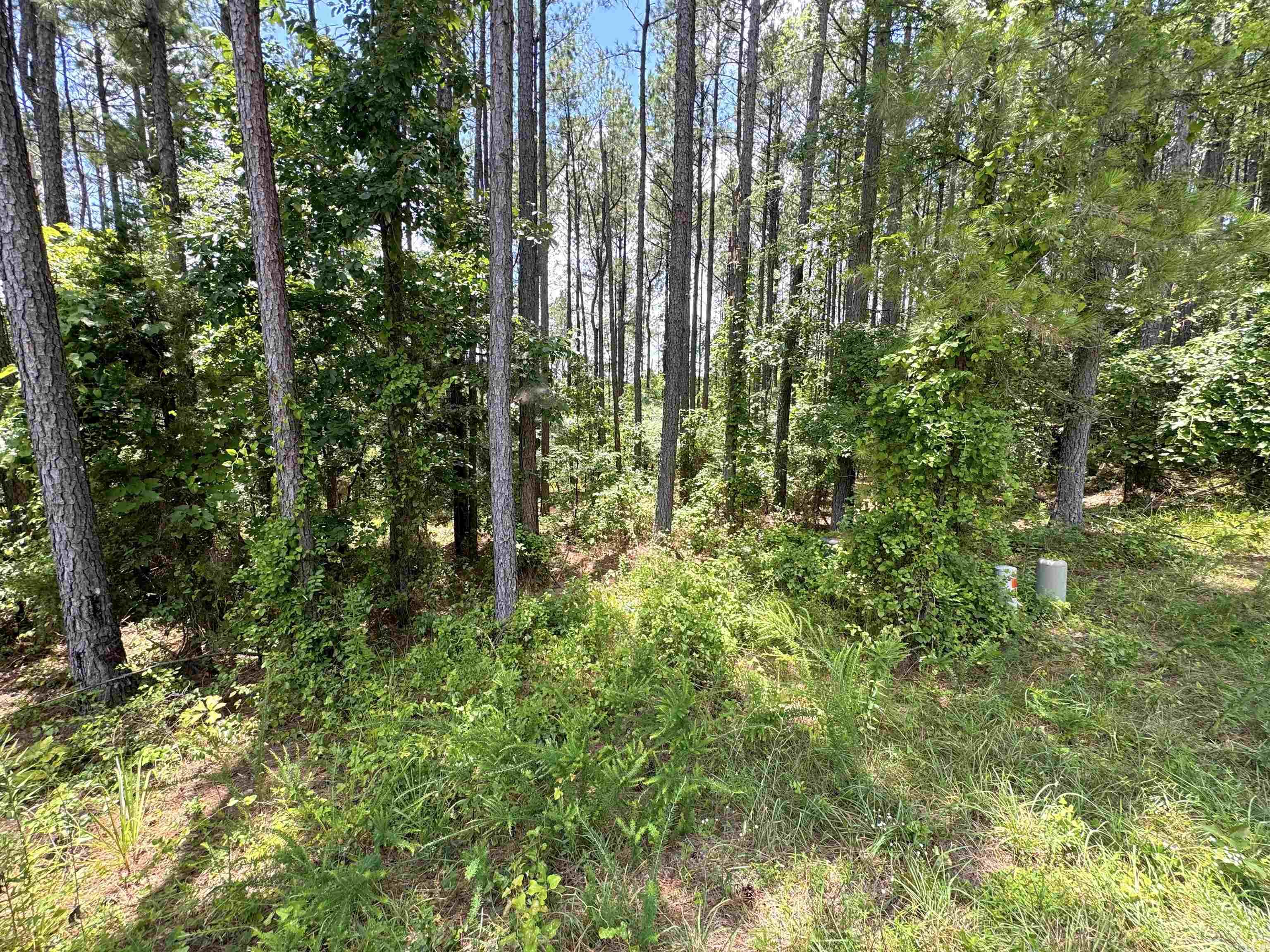 19 Victoria  Hot Springs Village, AR