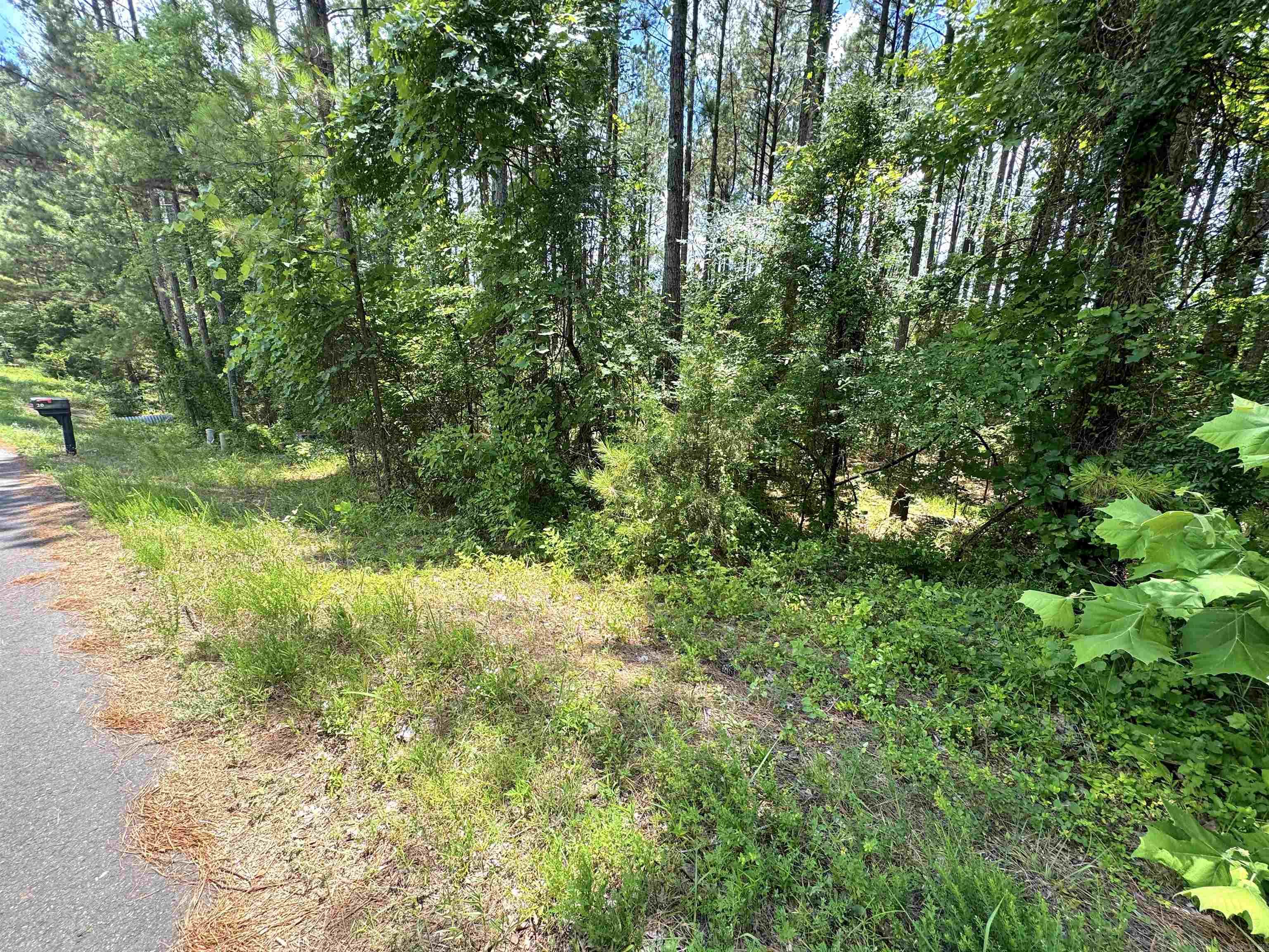 19 Victoria  Hot Springs Village, AR