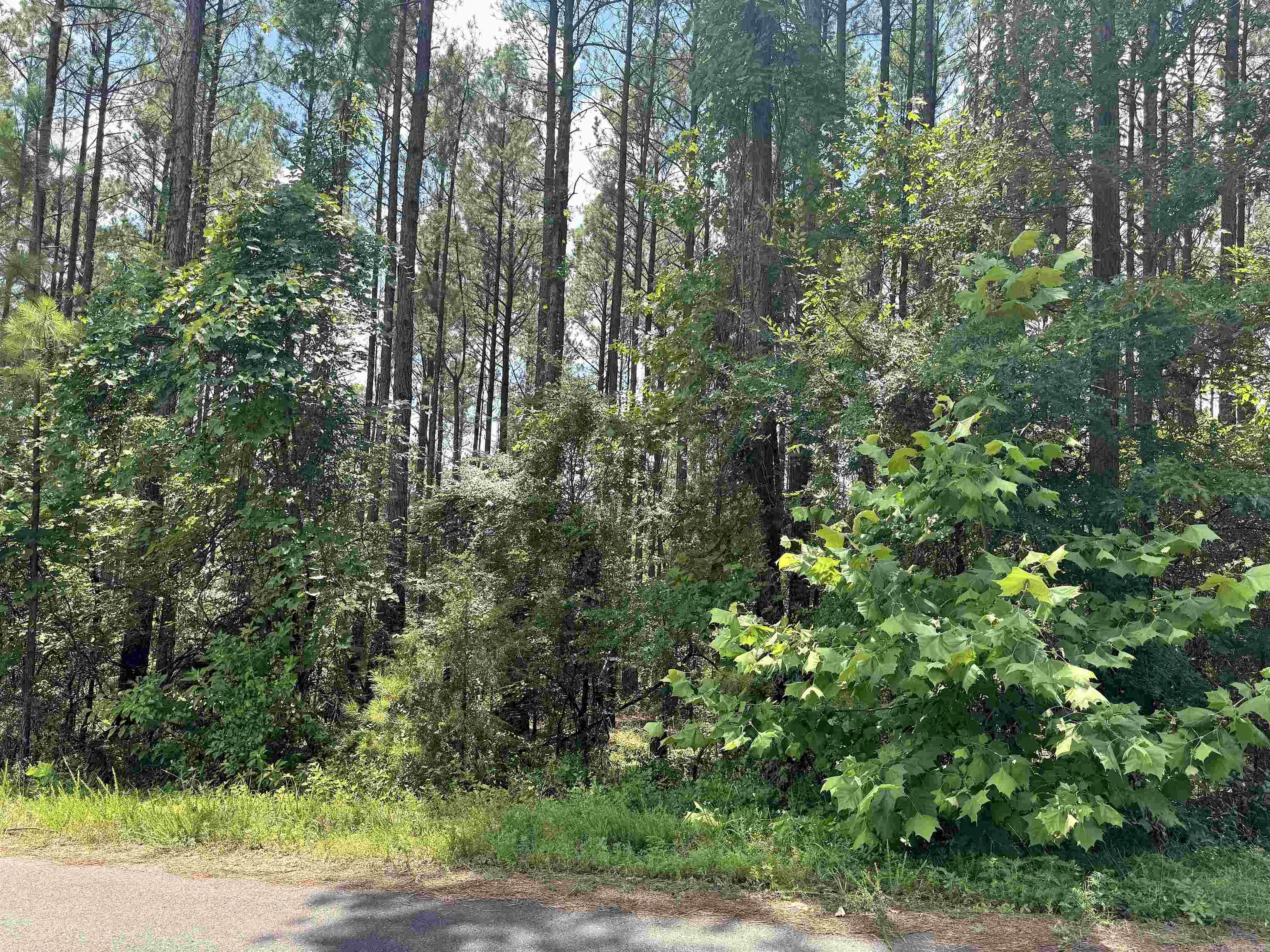 19 Victoria  Hot Springs Village, AR
