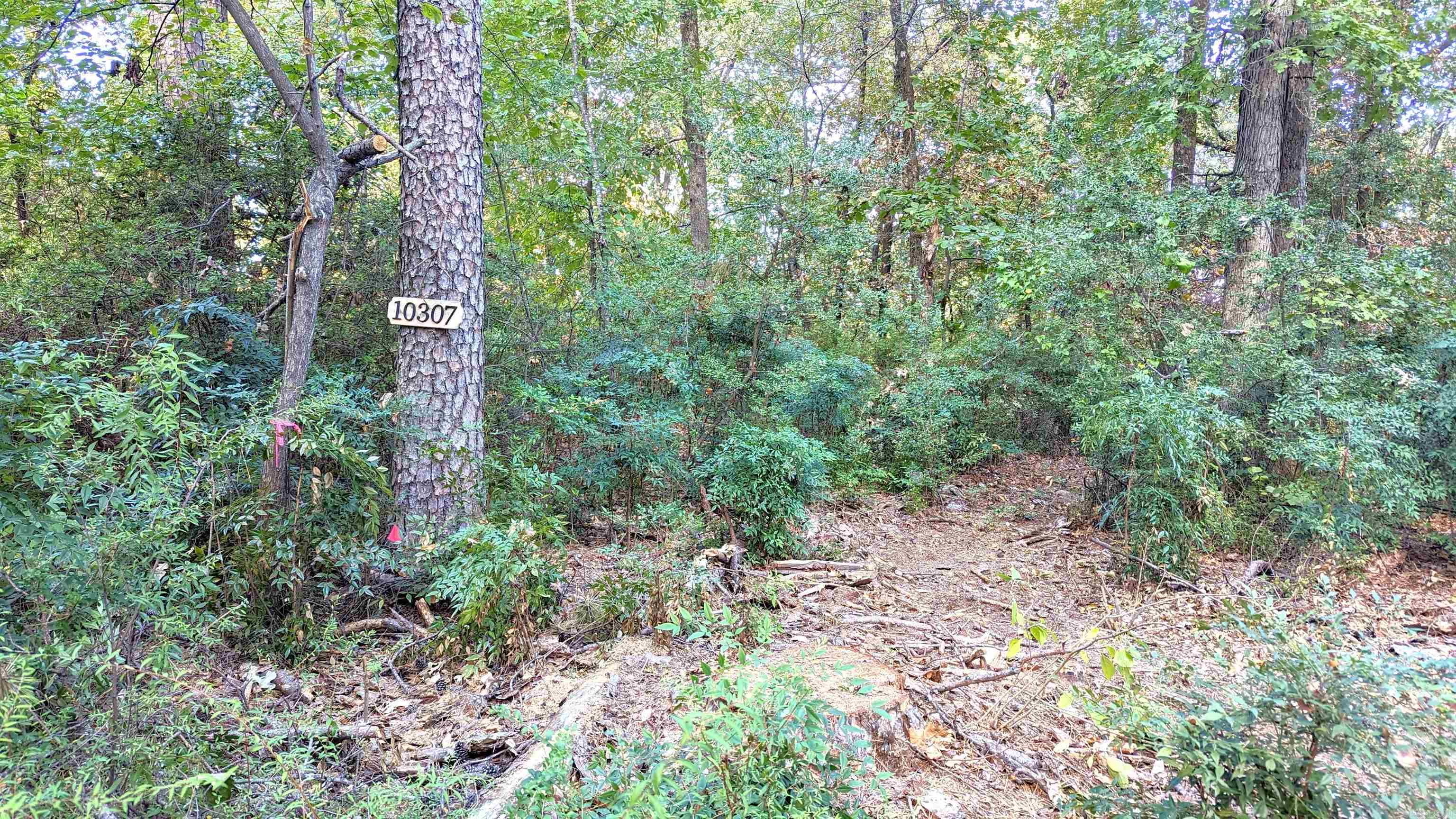 10307 Cantrell  Little Rock, AR