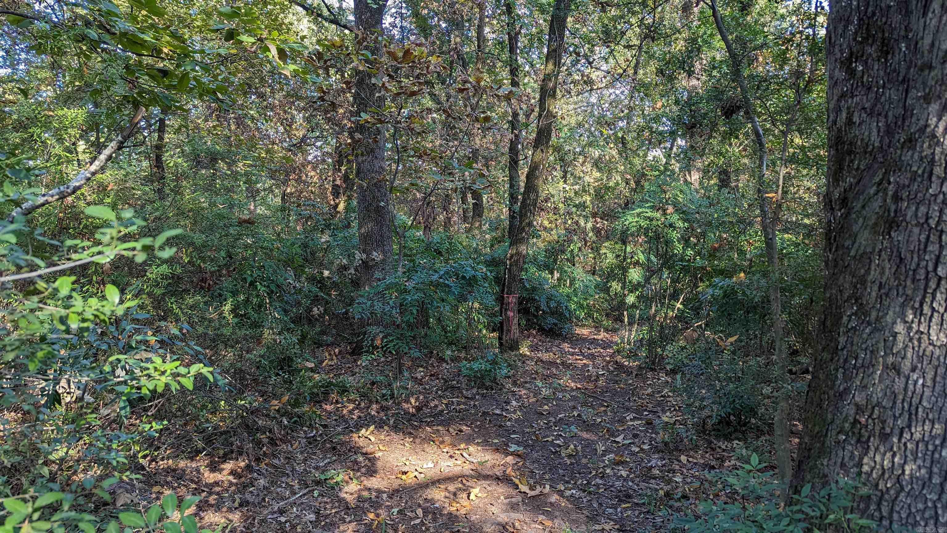 10307 Cantrell  Little Rock, AR