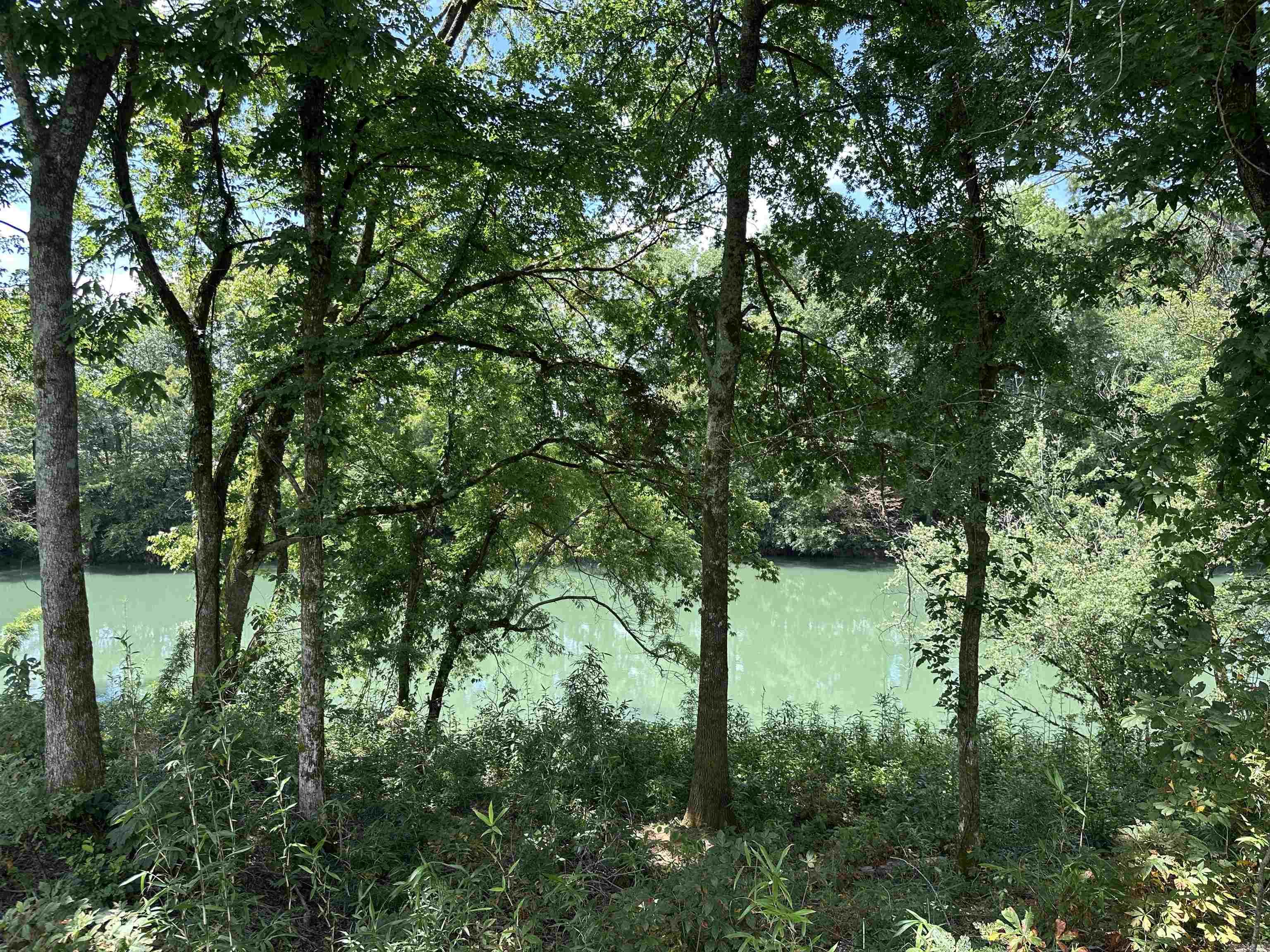 Lots 12 & 28 Riverway Rd.  Pangburn, AR