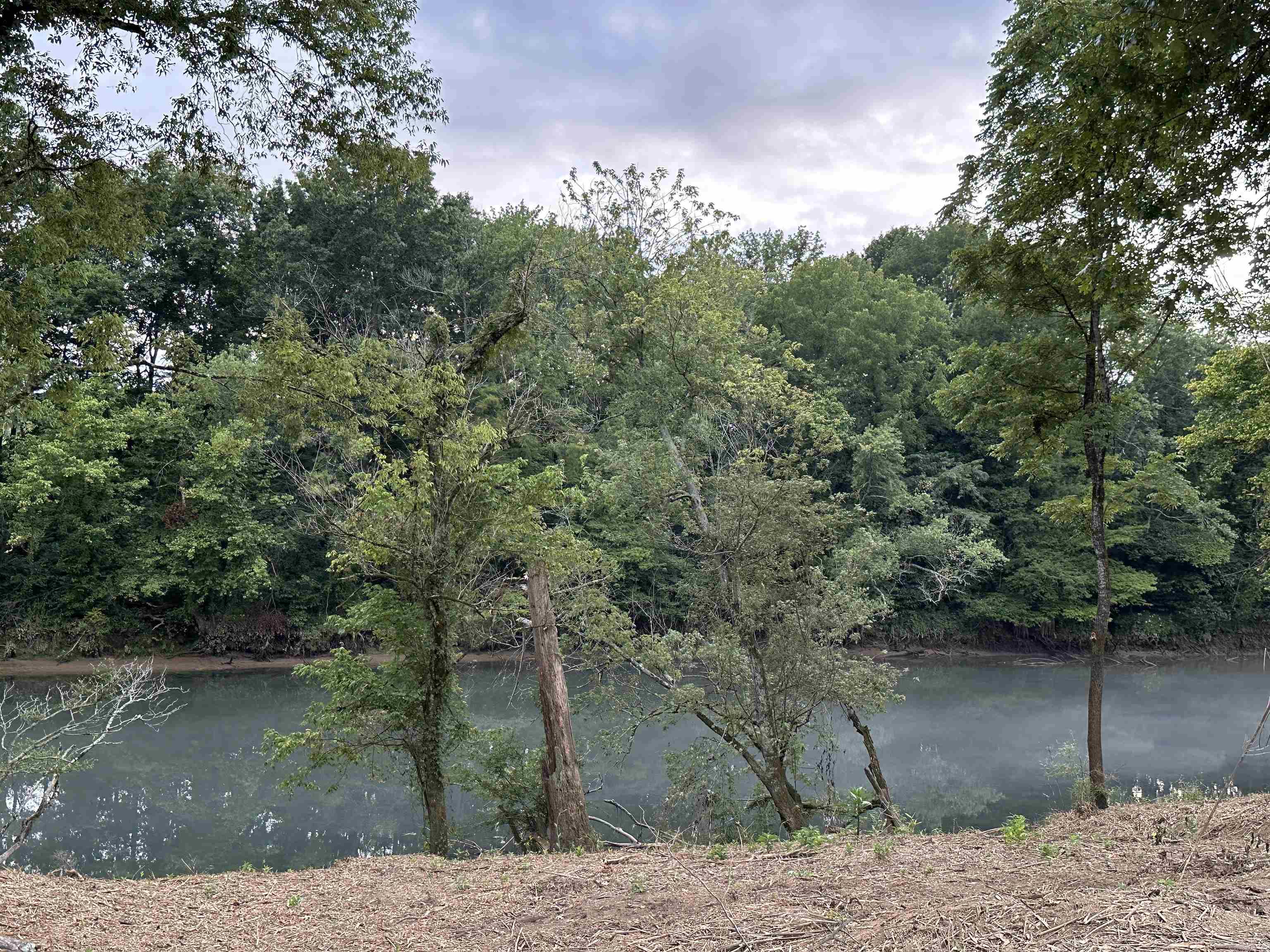 Lots 12 & 28 Riverway Rd.  Pangburn, AR