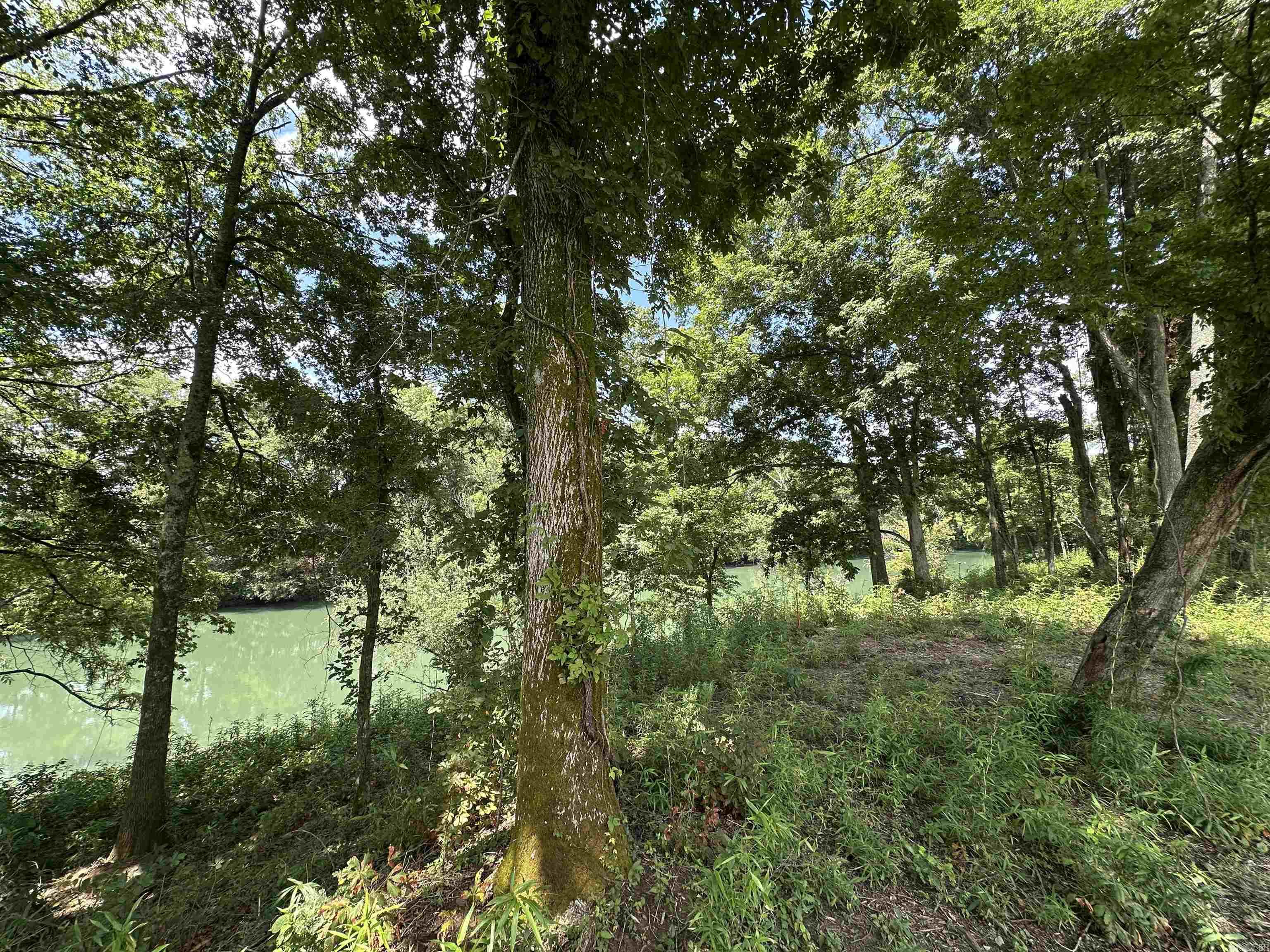 Lots 12 & 28 Riverway Rd.  Pangburn, AR