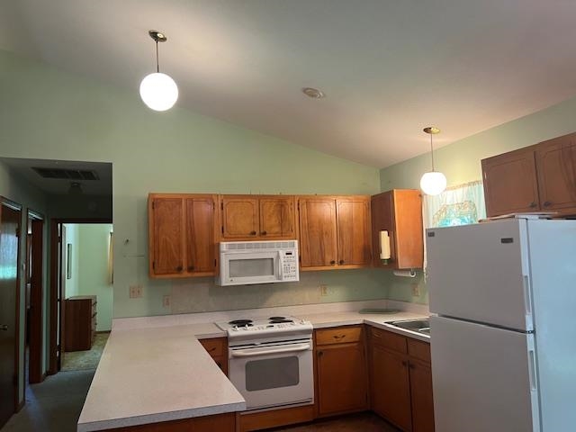 9 Big Horn  Cherokee Village, AR