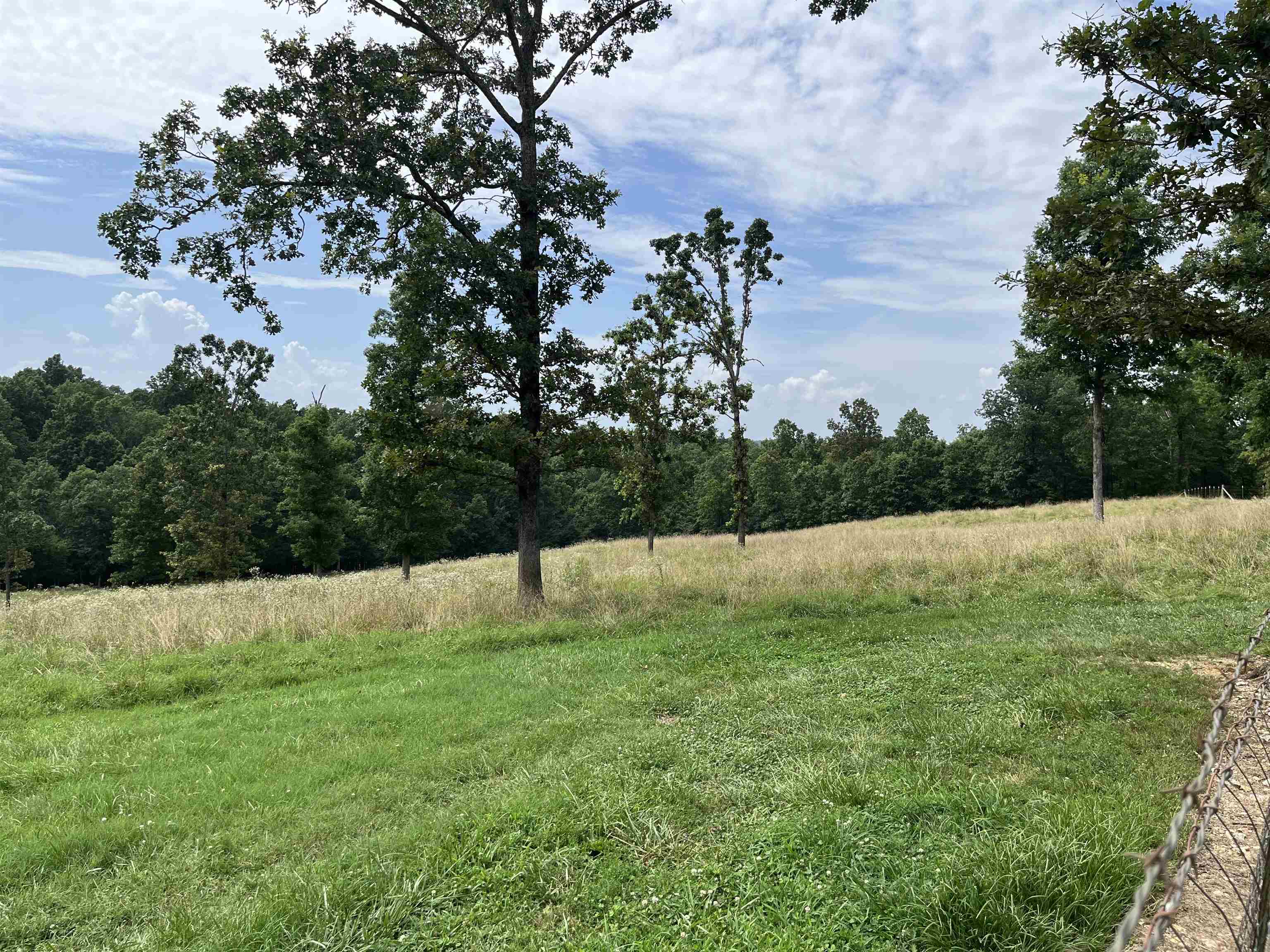 385 Walnut Grove Circle  Mammoth Spring, AR