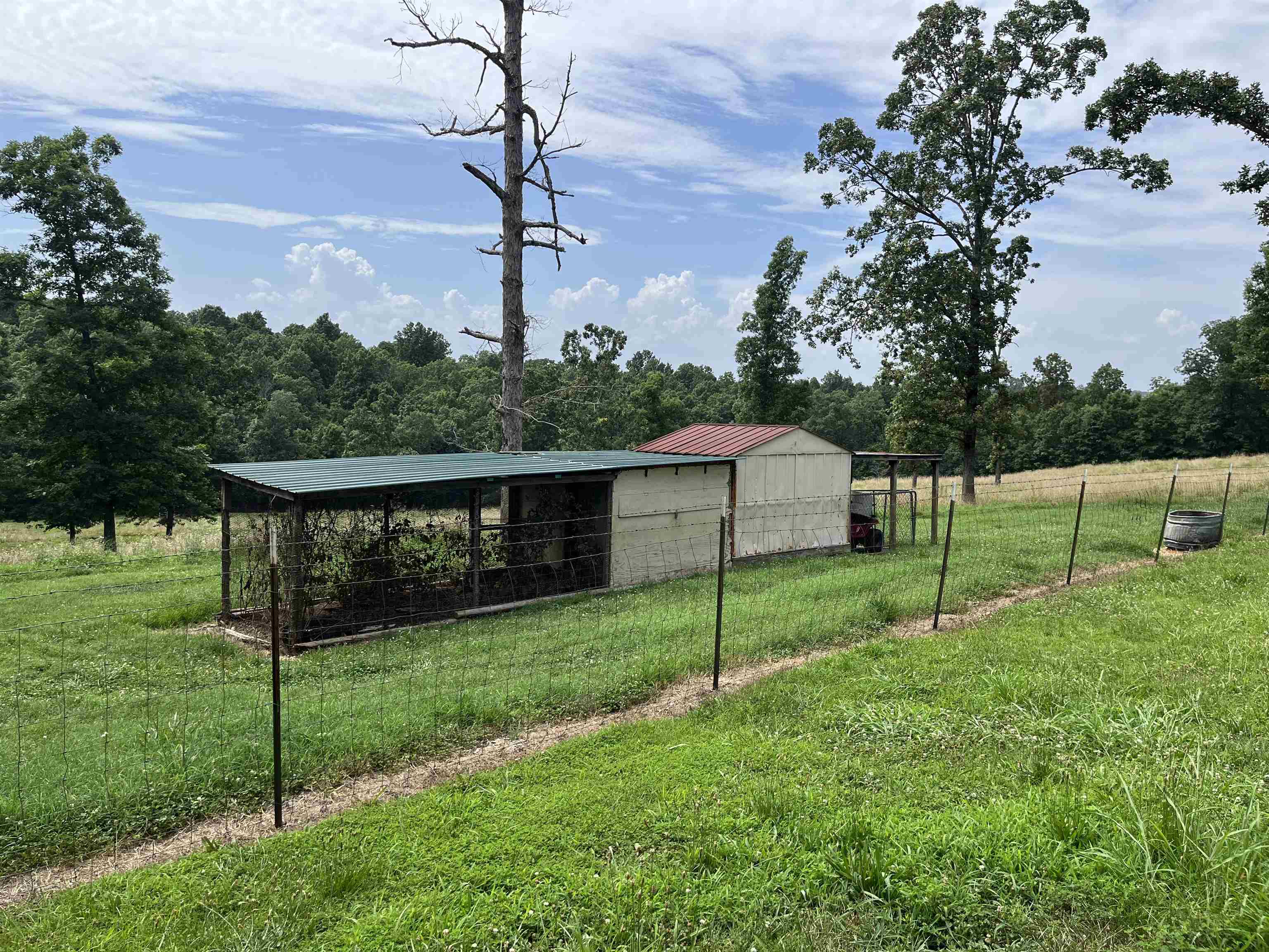 385 Walnut Grove Circle  Mammoth Spring, AR
