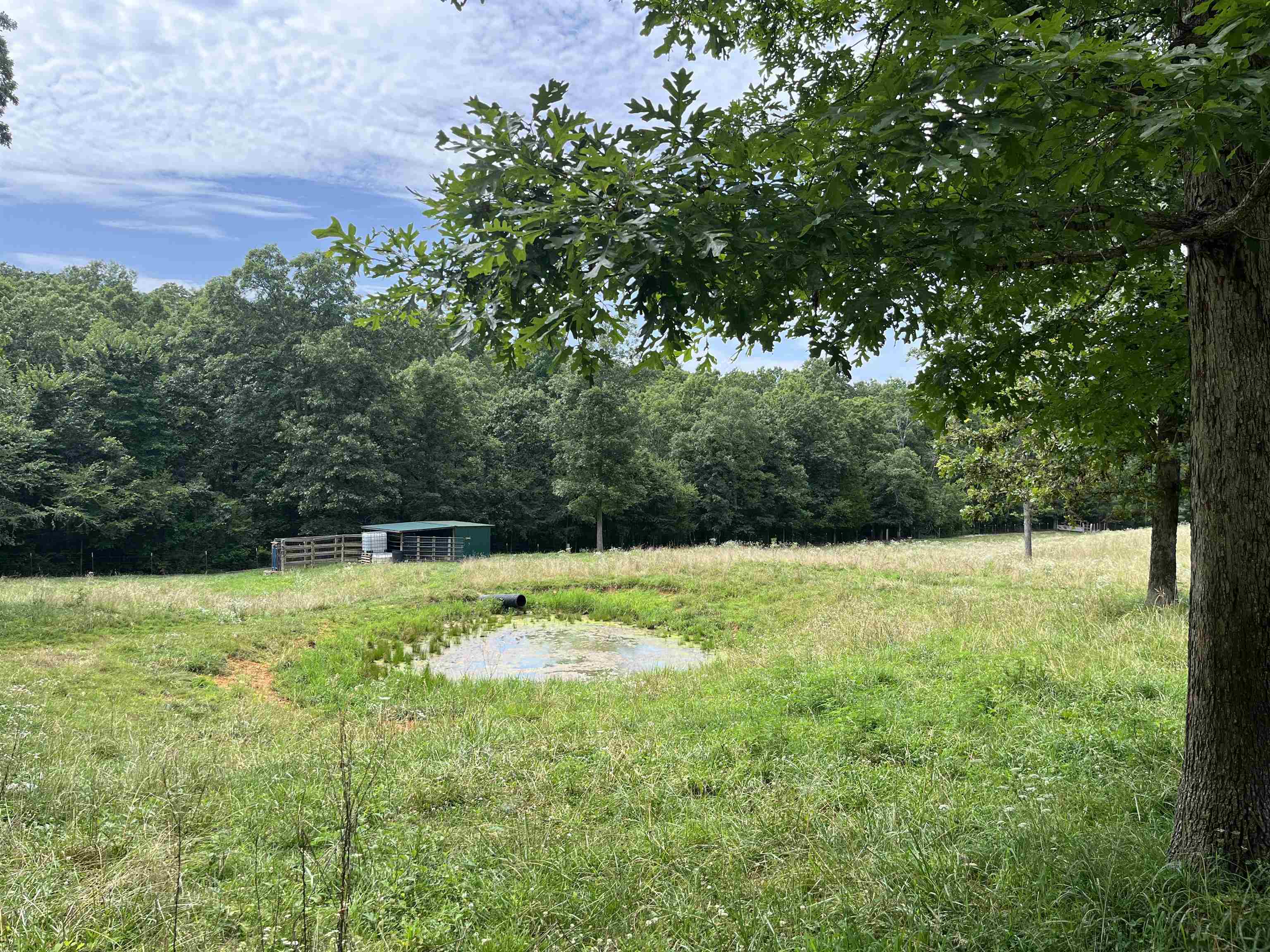 385 Walnut Grove Circle  Mammoth Spring, AR