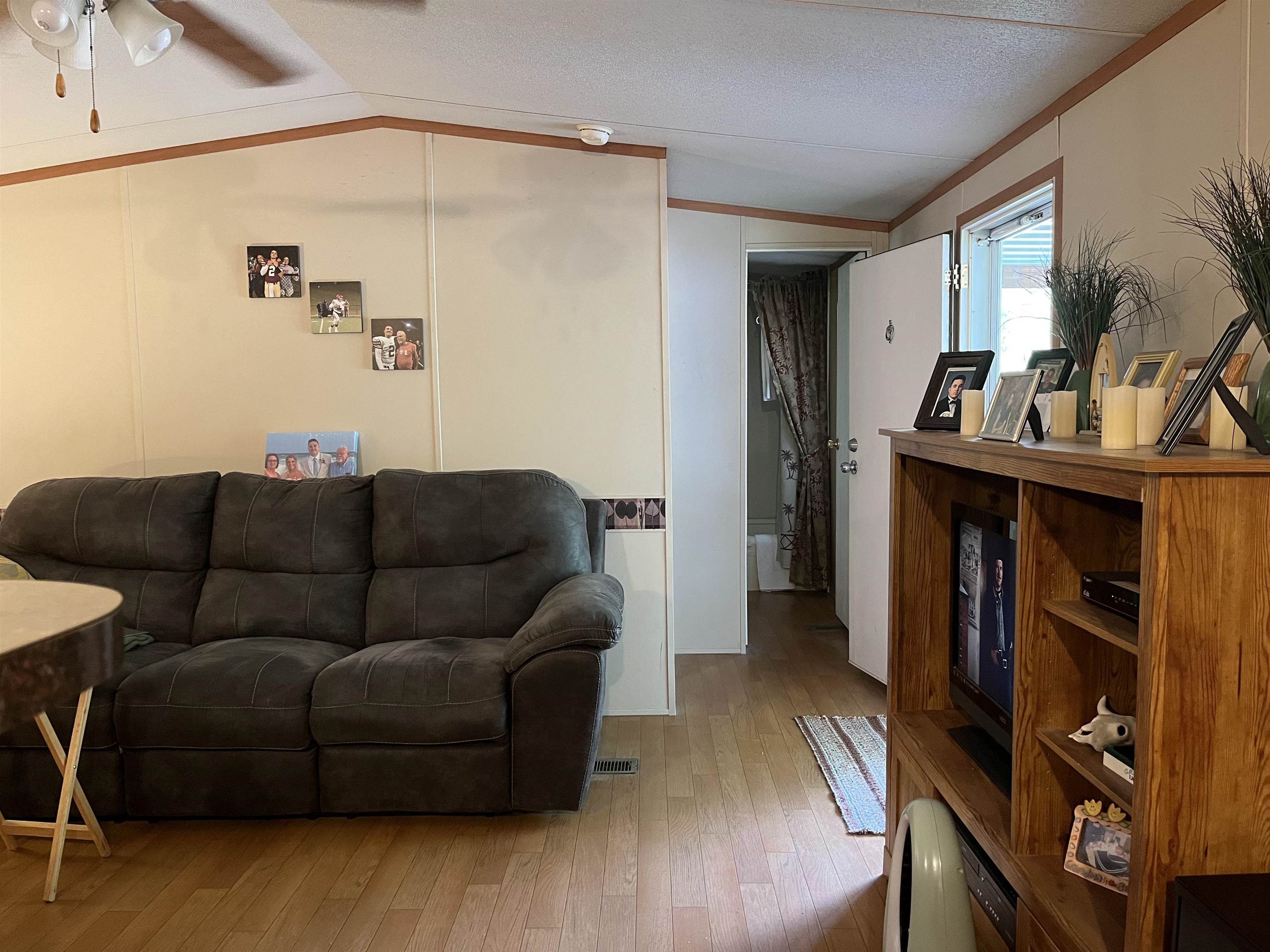 385 Walnut Grove Circle  Mammoth Spring, AR