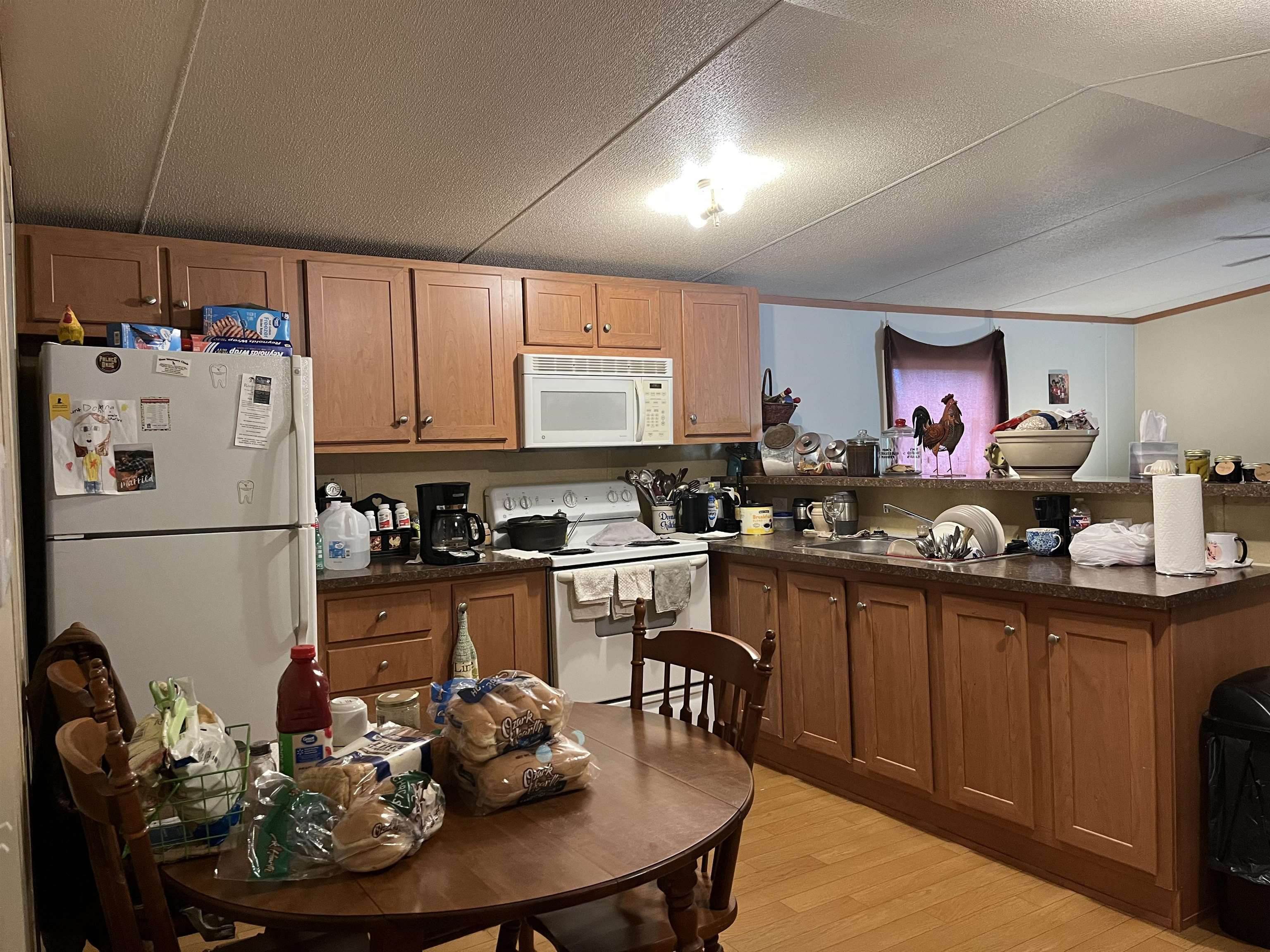385 Walnut Grove Circle  Mammoth Spring, AR