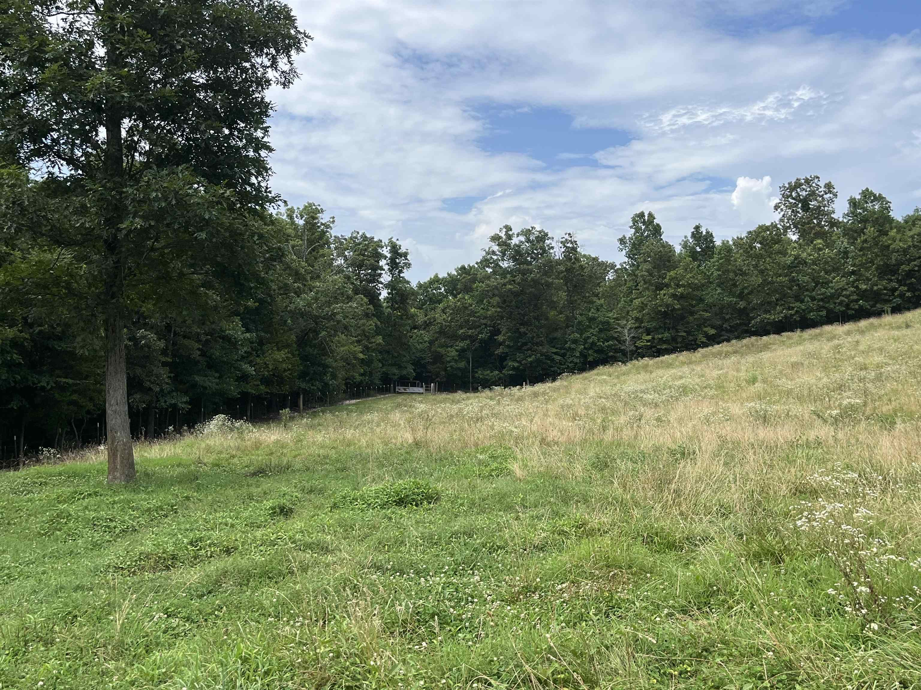 385 Walnut Grove Circle  Mammoth Spring, AR
