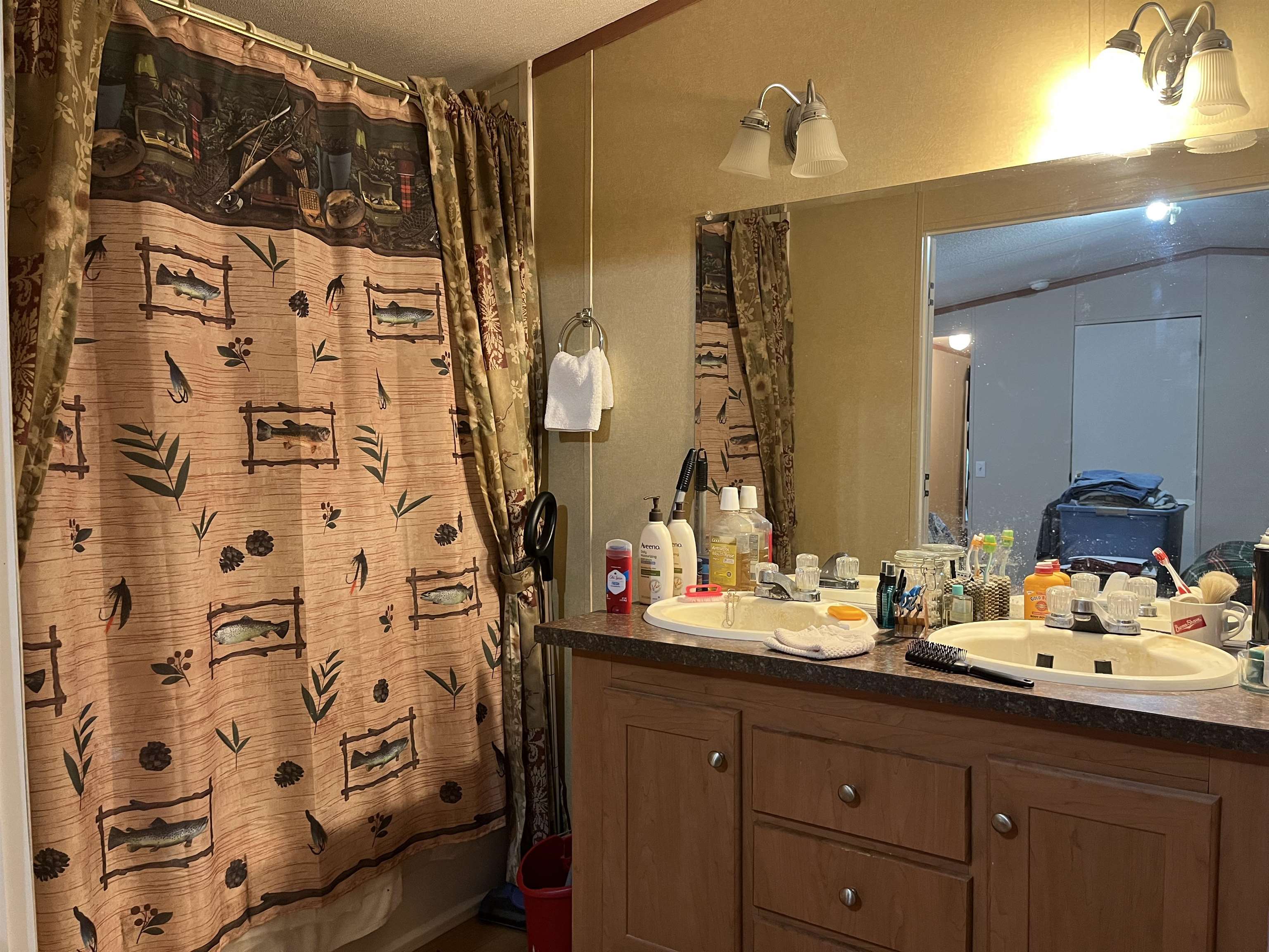 385 Walnut Grove Circle  Mammoth Spring, AR