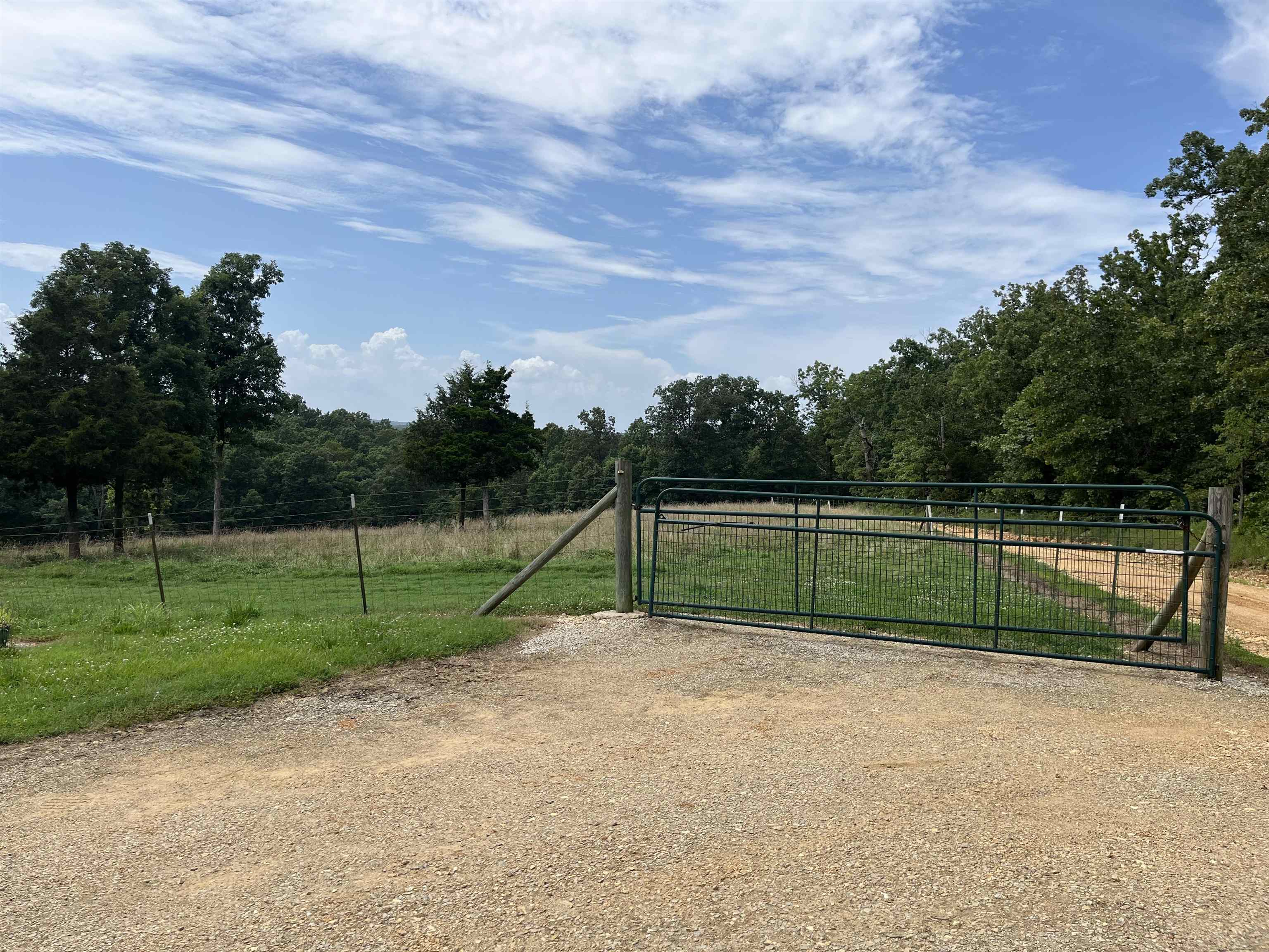385 Walnut Grove Circle  Mammoth Spring, AR