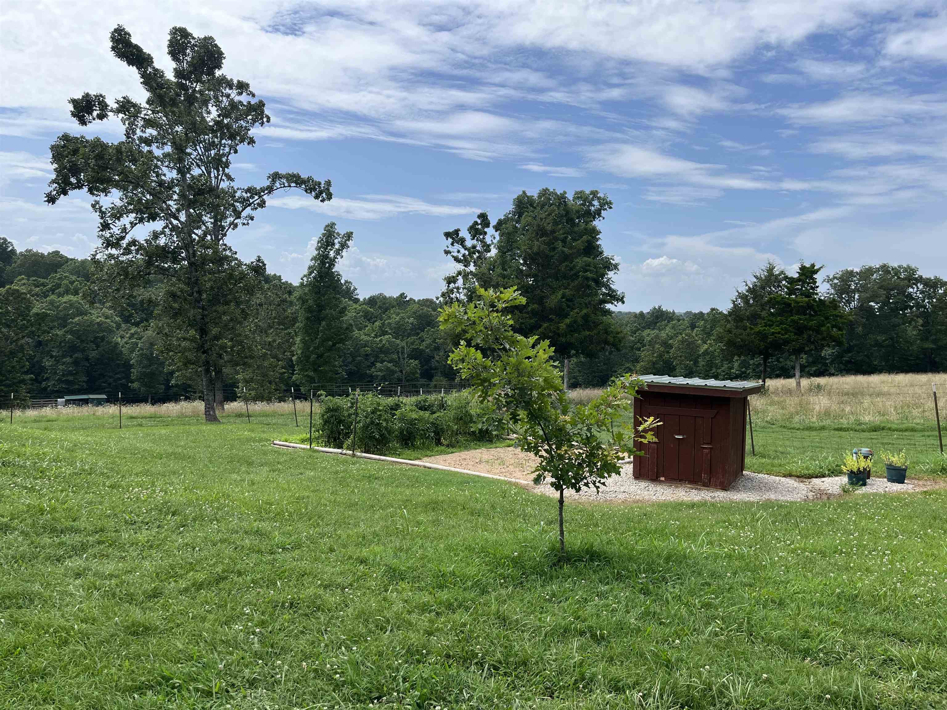 385 Walnut Grove Circle  Mammoth Spring, AR