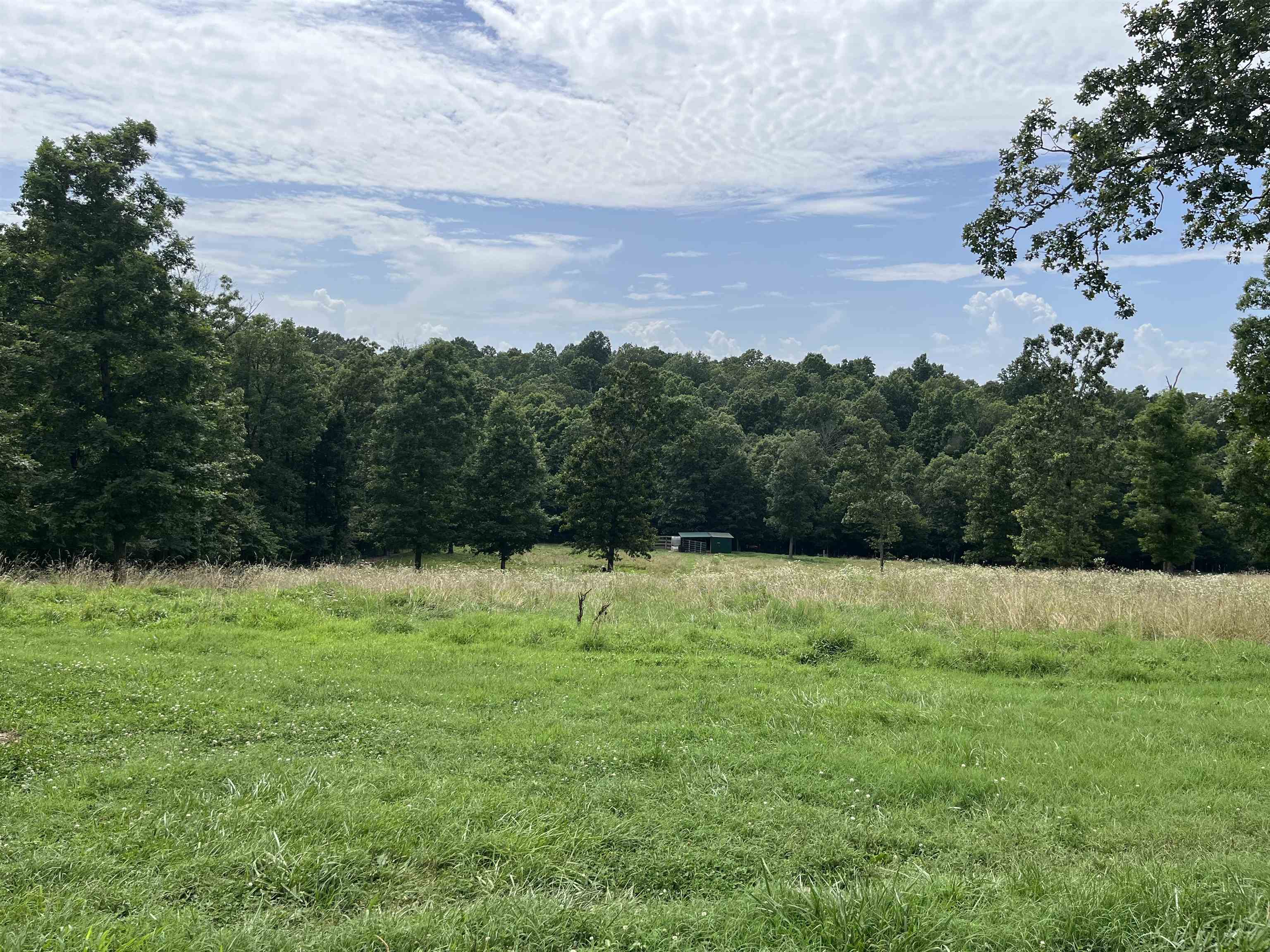385 Walnut Grove Circle  Mammoth Spring, AR