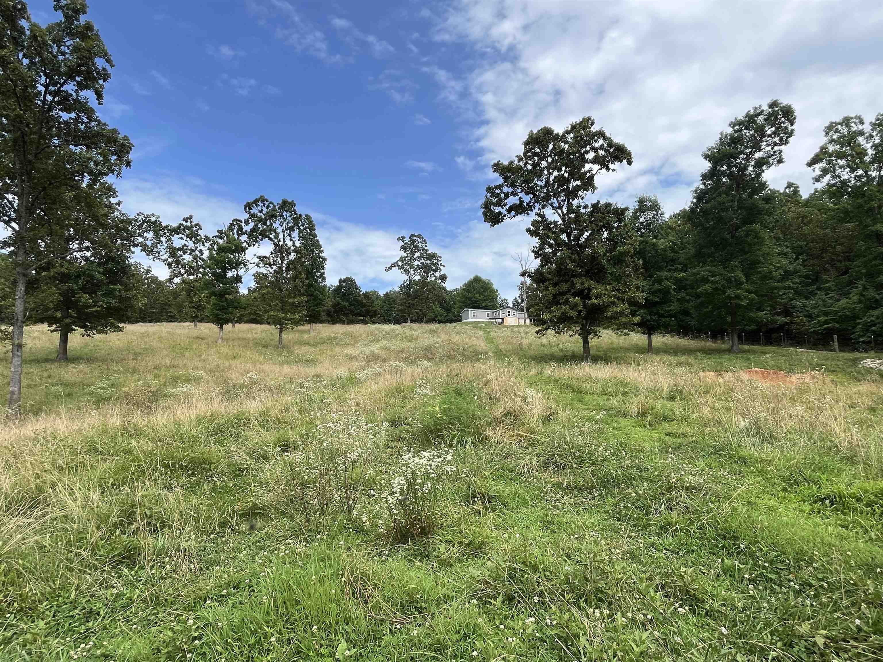 385 Walnut Grove Circle  Mammoth Spring, AR