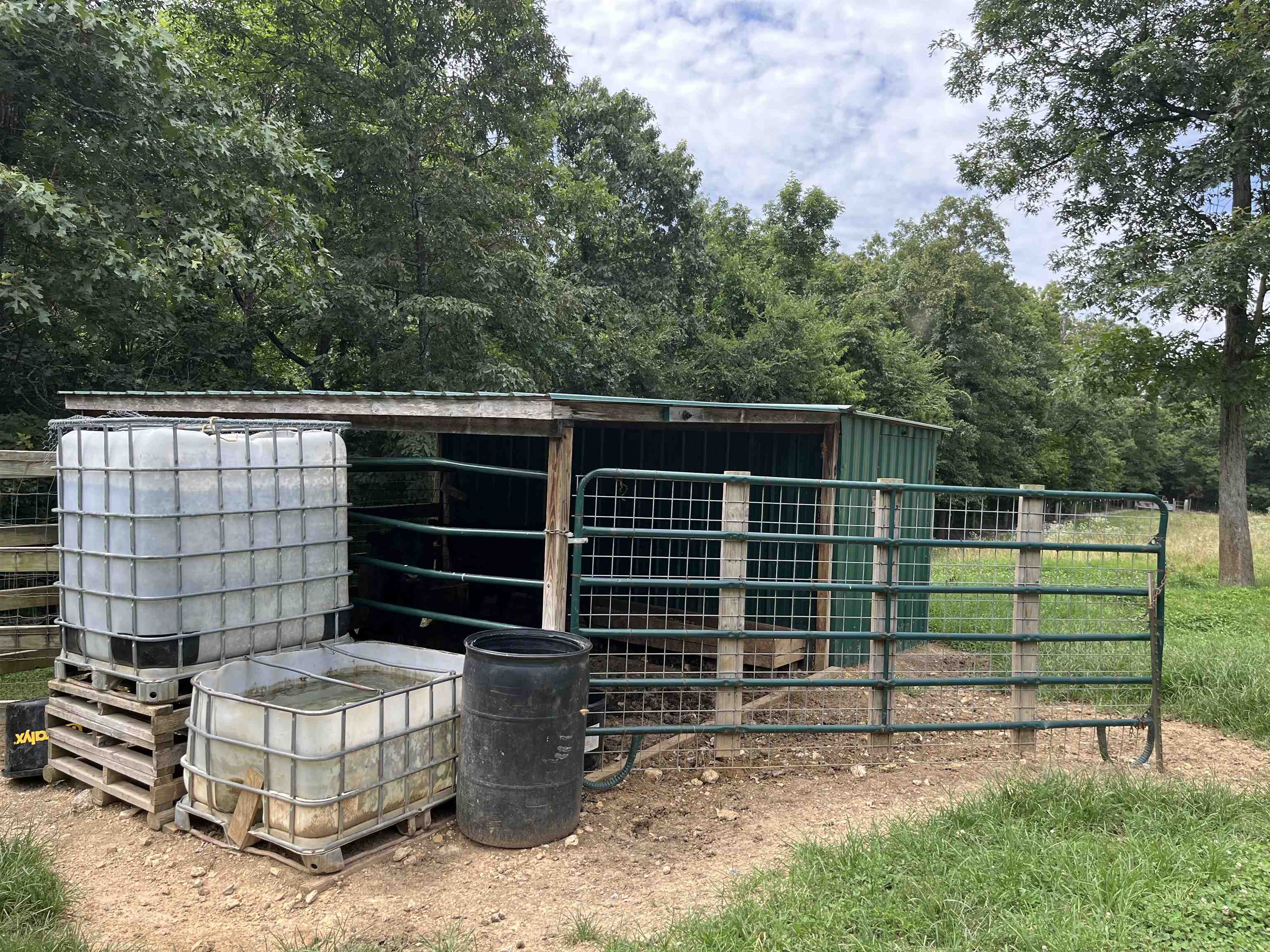 385 Walnut Grove Circle  Mammoth Spring, AR