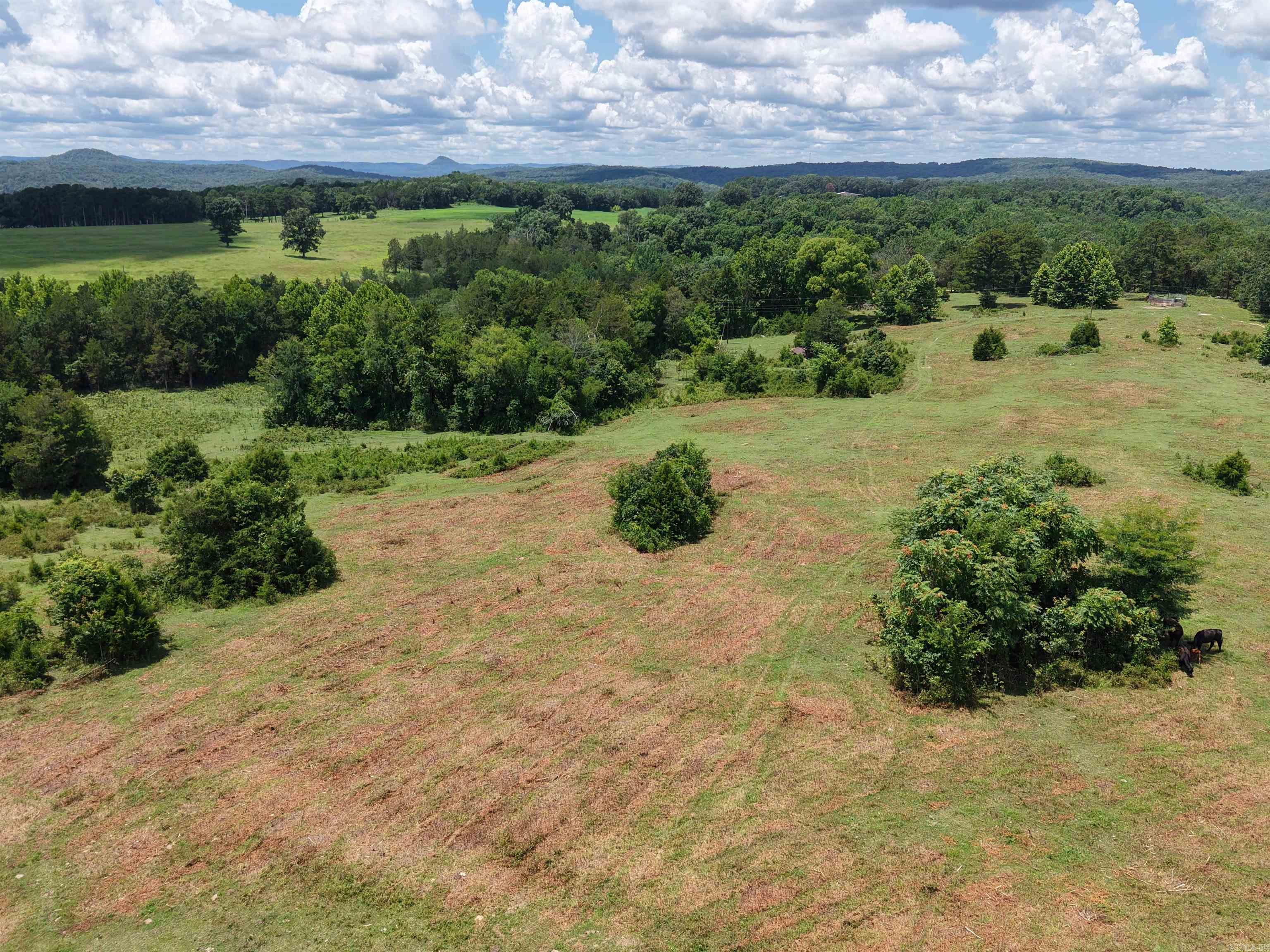 2430 Gorby Road  Calico Rock, AR