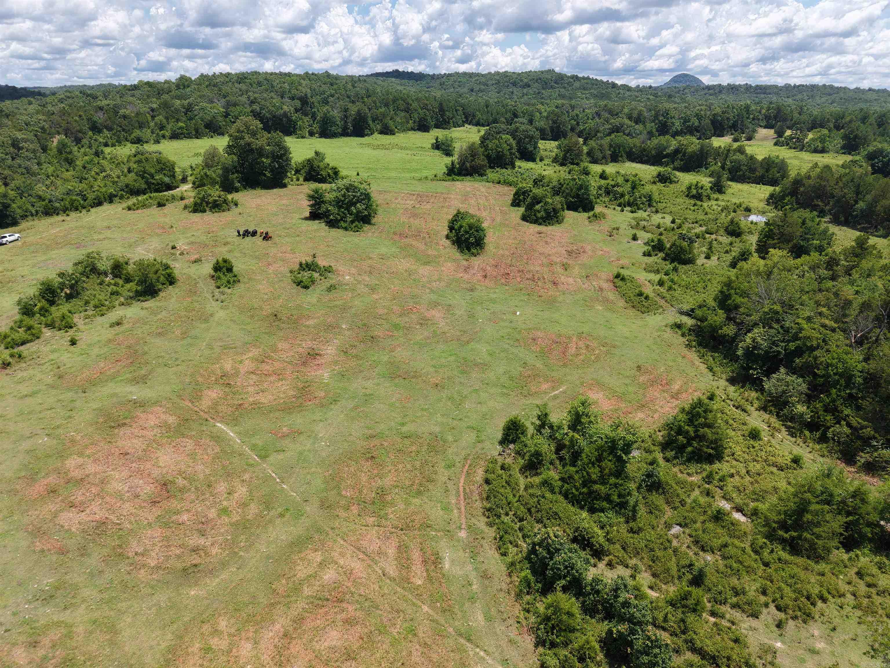 2430 Gorby Road  Calico Rock, AR