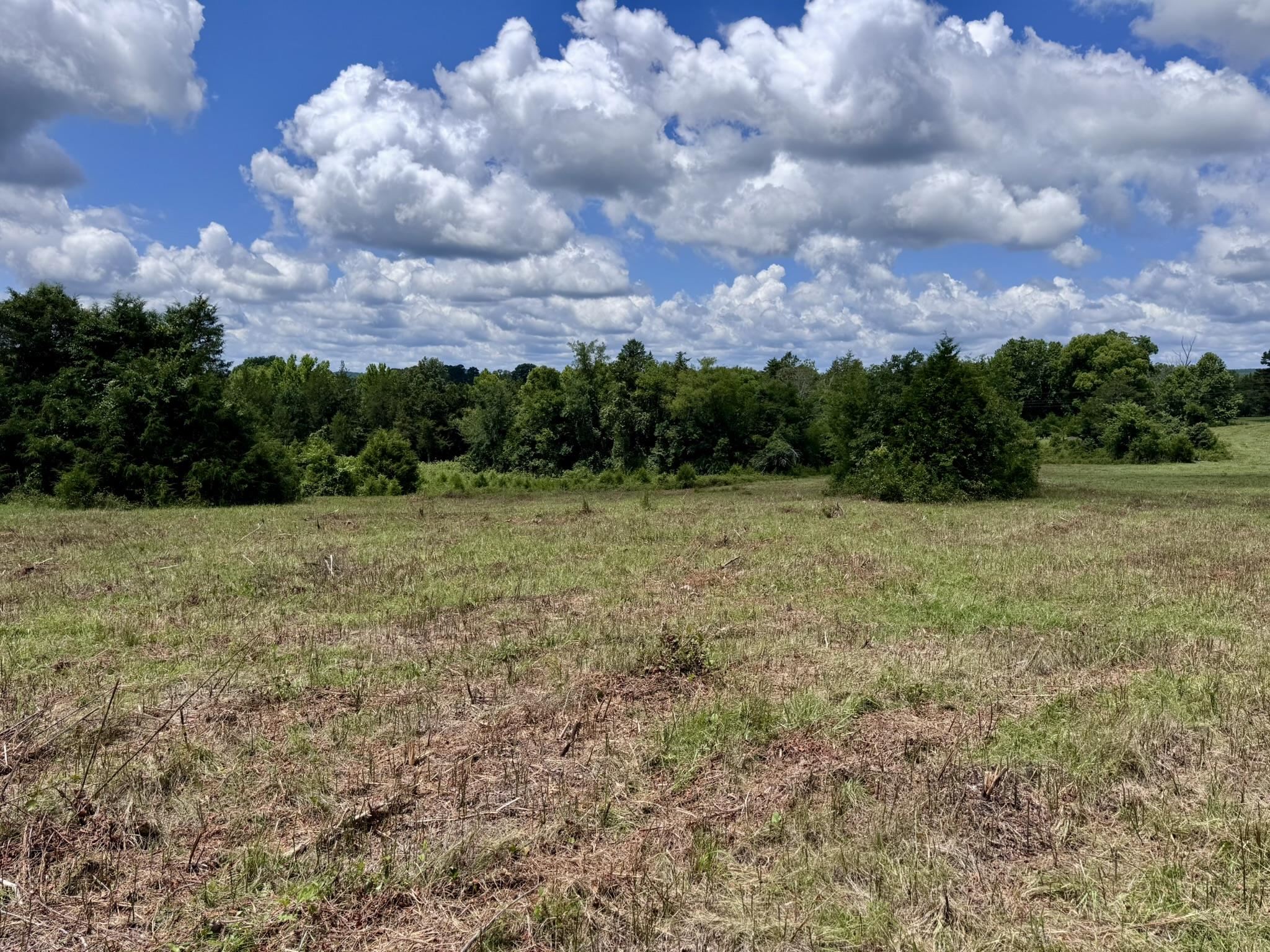 2430 Gorby Road  Calico Rock, AR