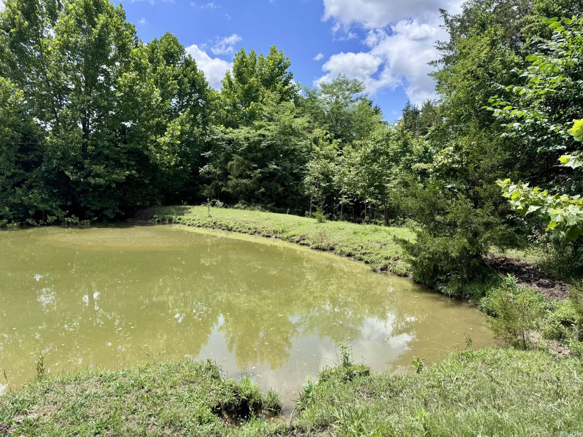 2430 Gorby Road  Calico Rock, AR