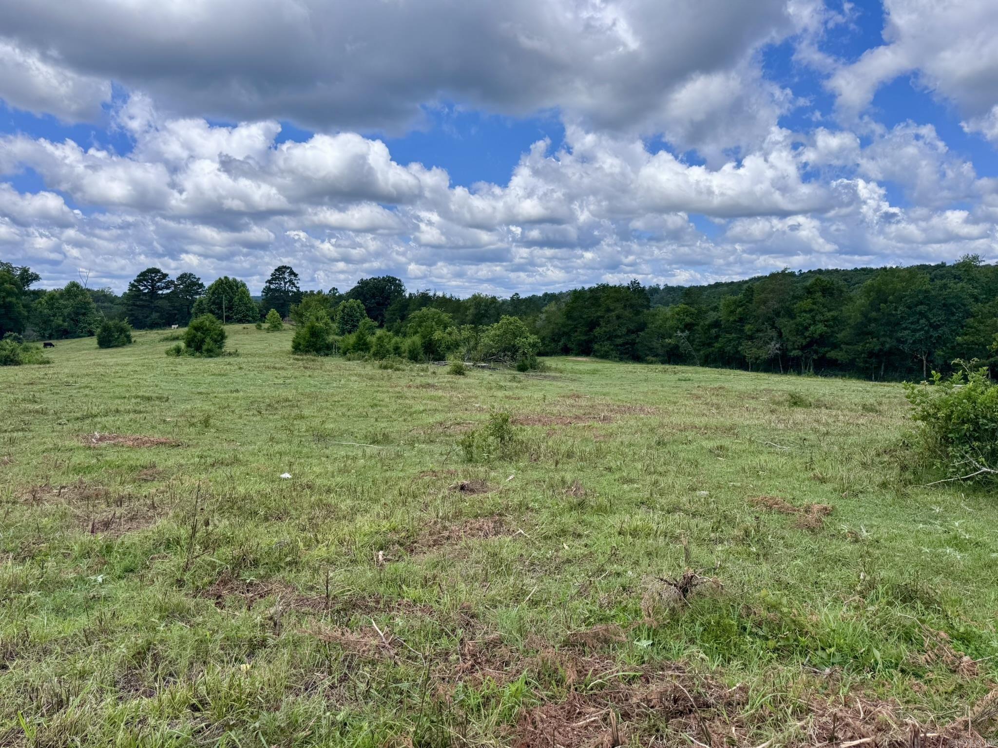 2430 Gorby Road  Calico Rock, AR